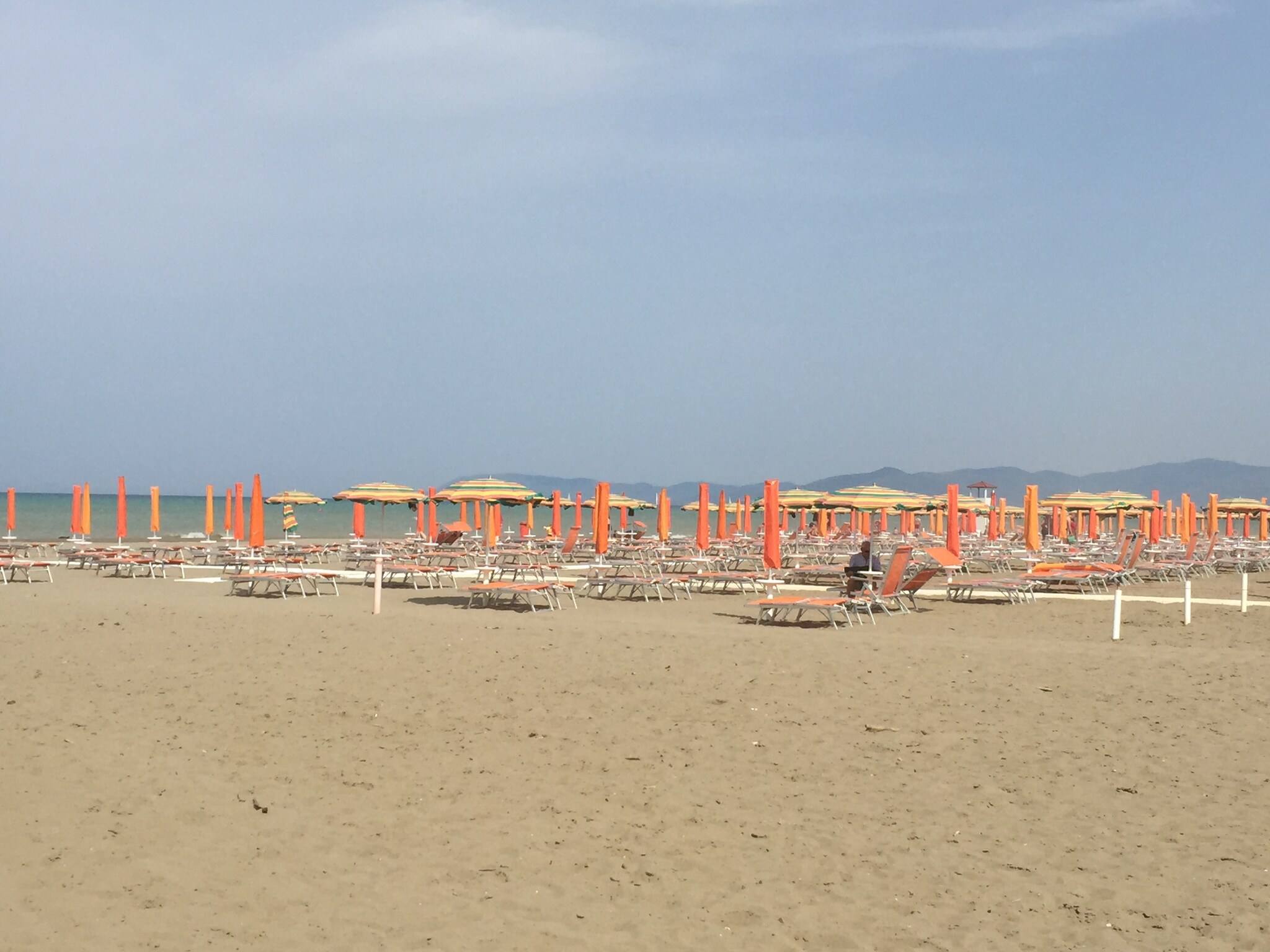   Il Girasole