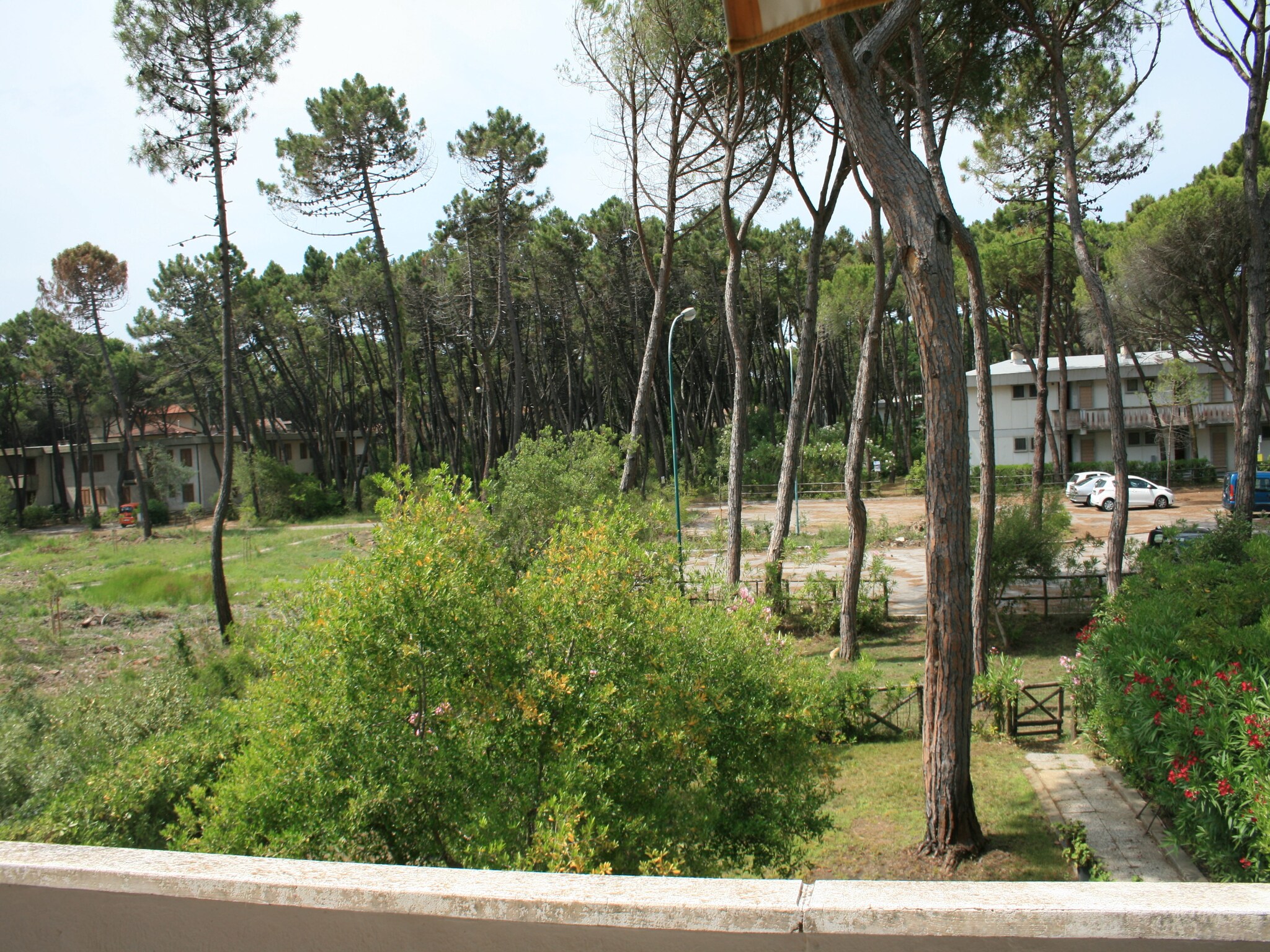   Il Girasole