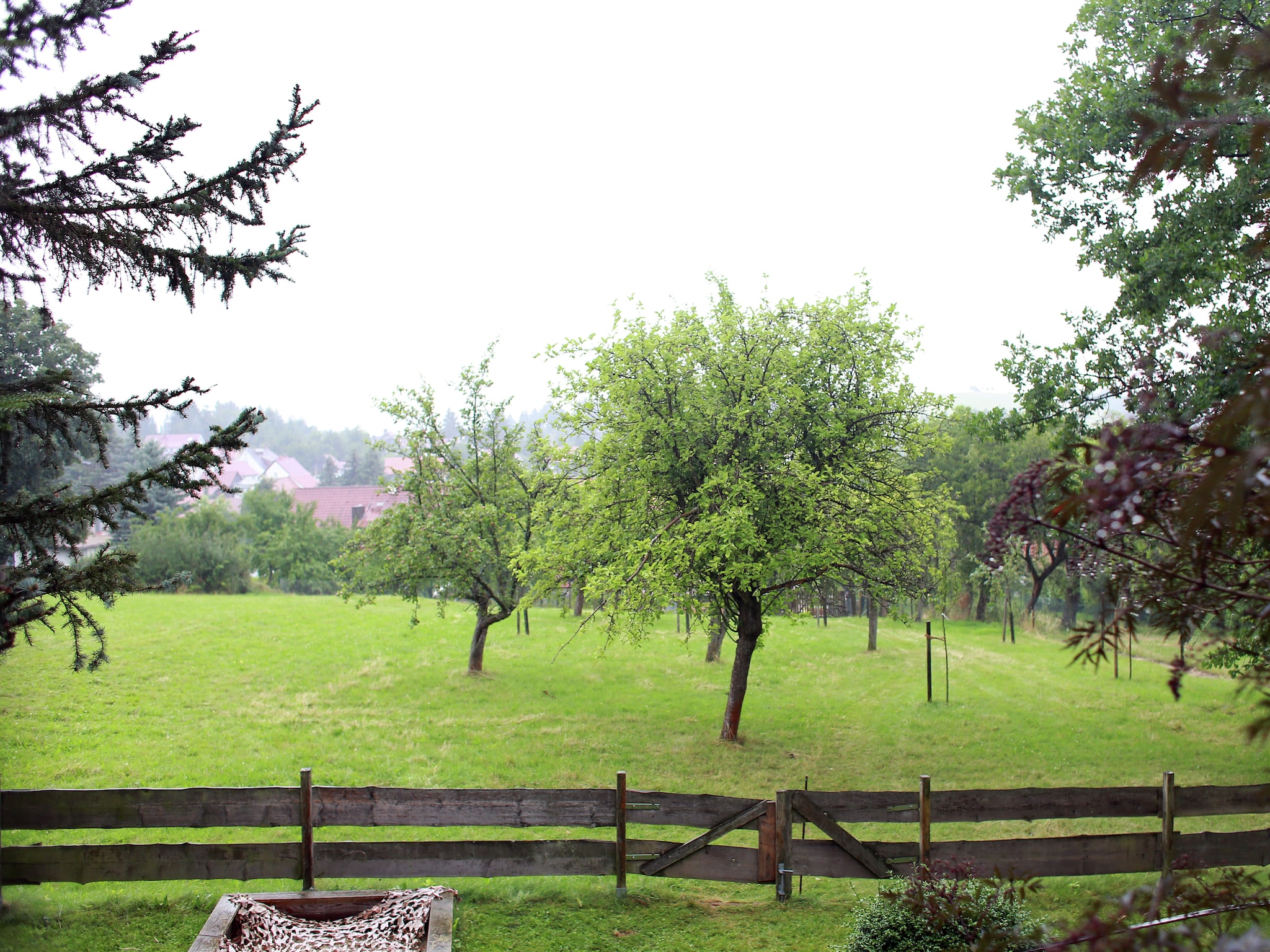   Naturstammhaus