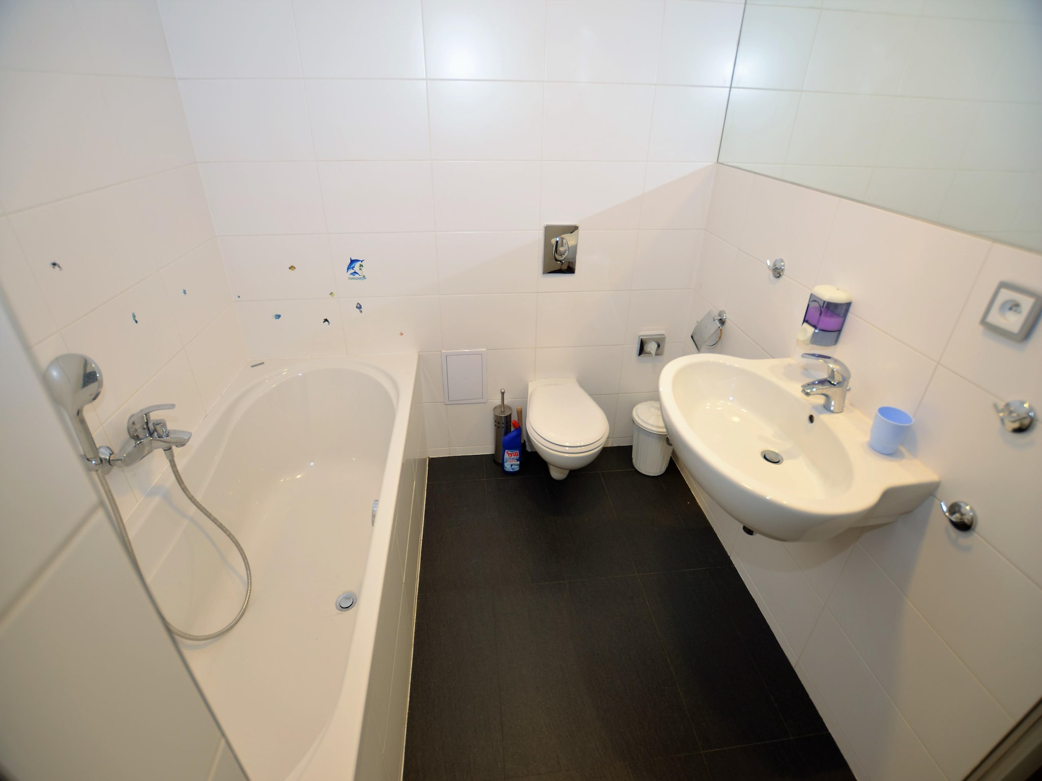 Ferienwohnung Rokytno