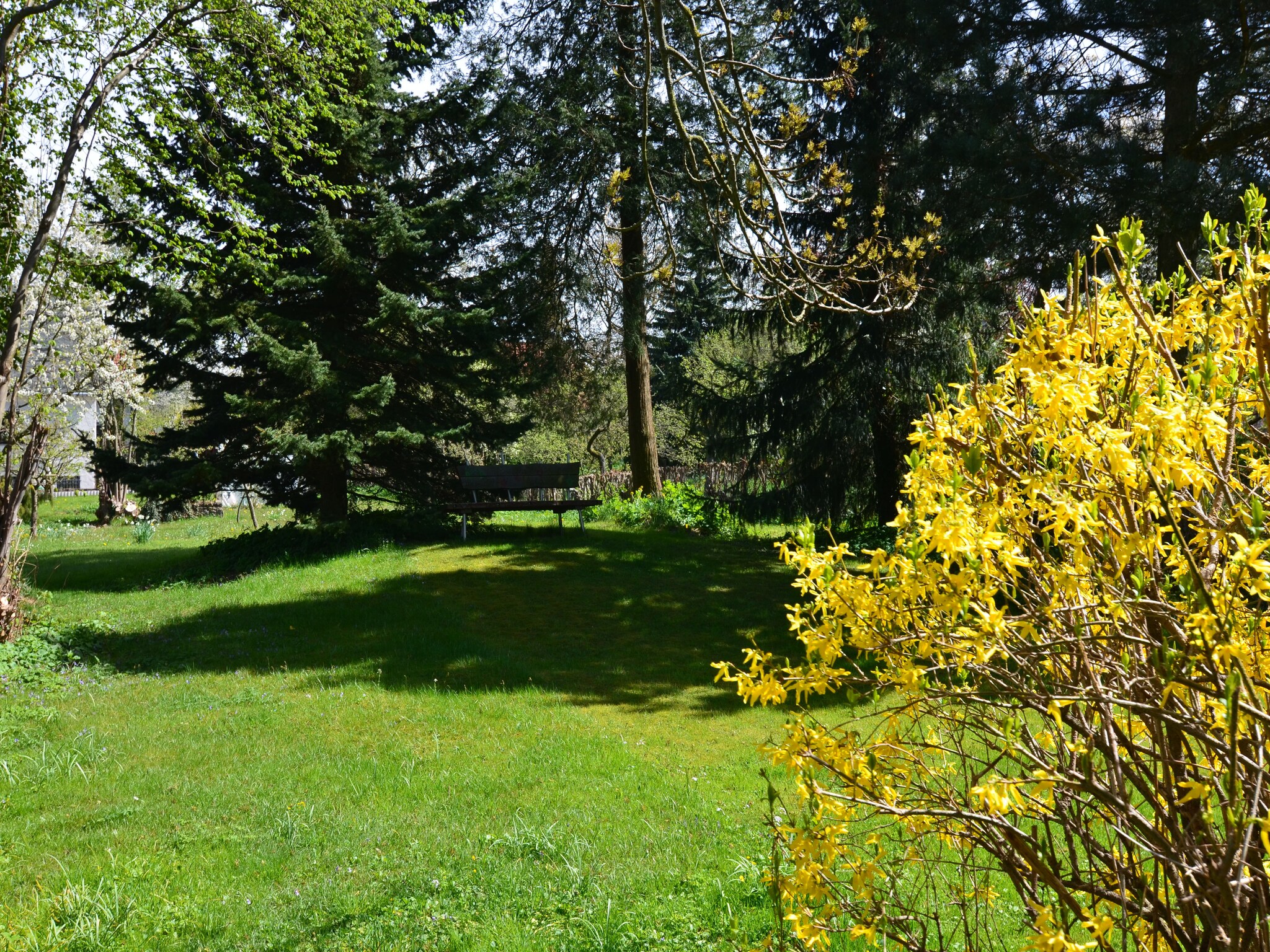   Fachwerkhaus Thüringen