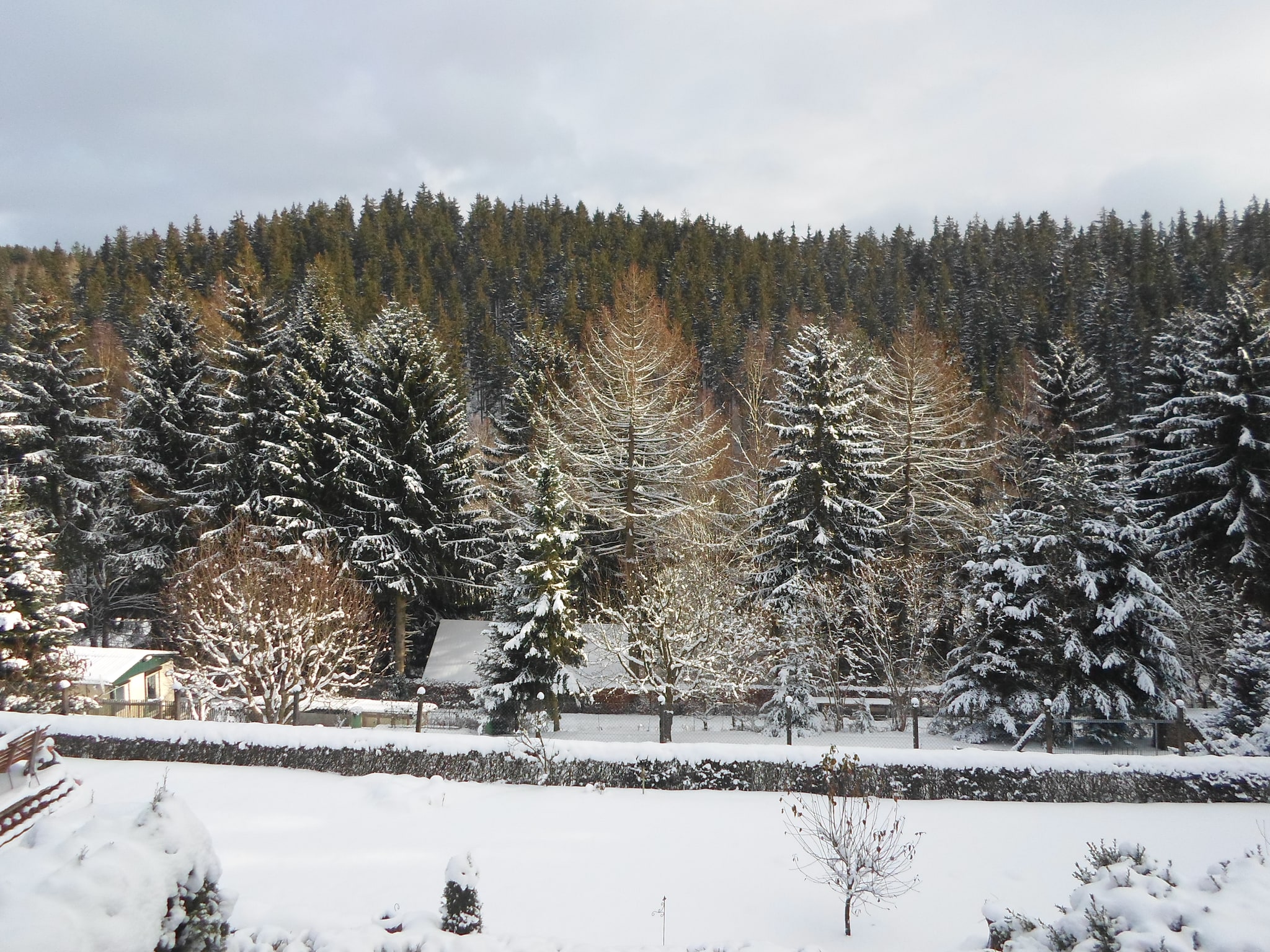   Ferienhaus im Thüringer Wald