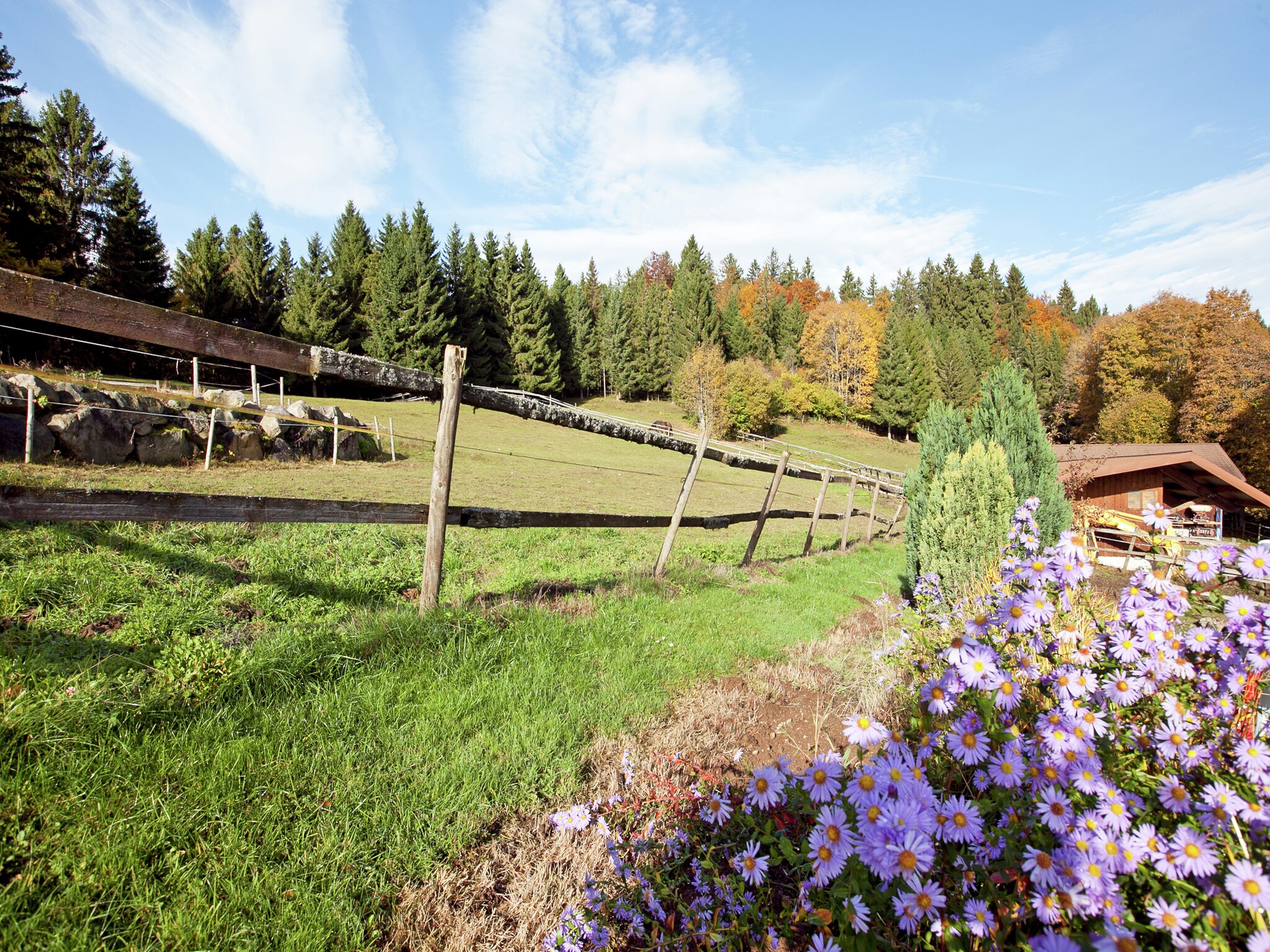 Appartement Vogelsang