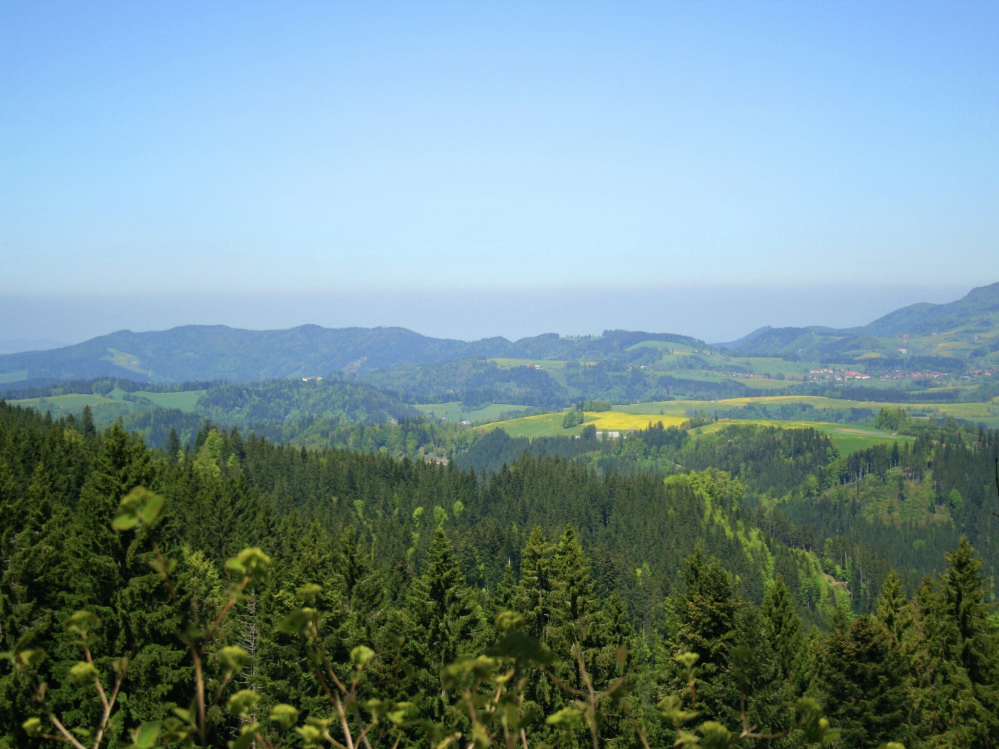 Appartement Vogelsang