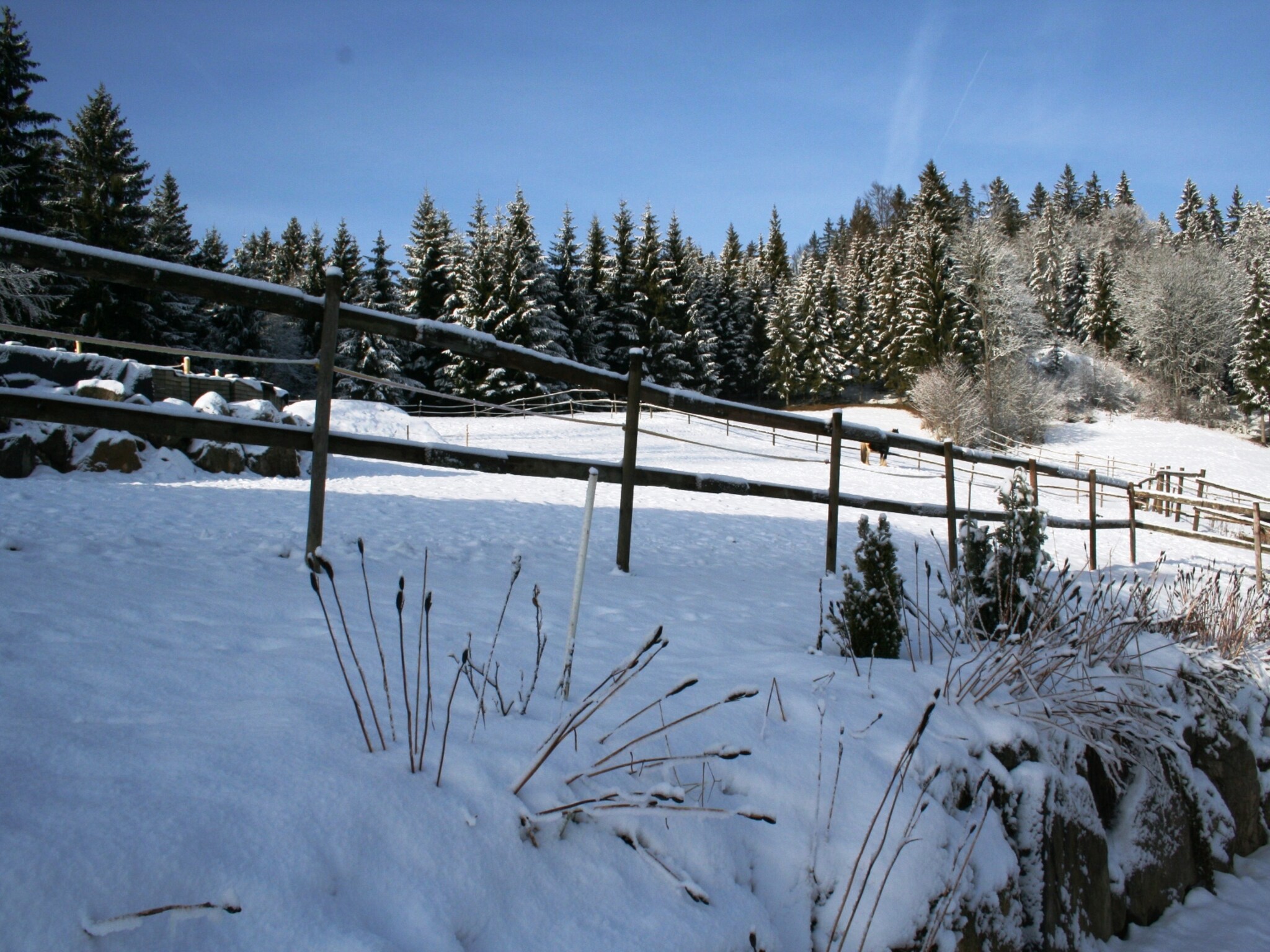 Appartement Vogelsang
