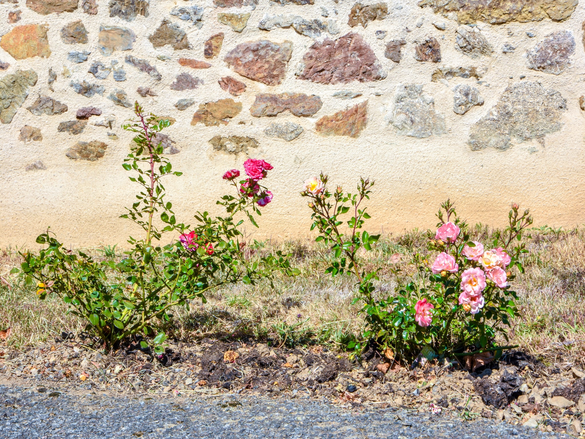   Authentique maison auvergnate