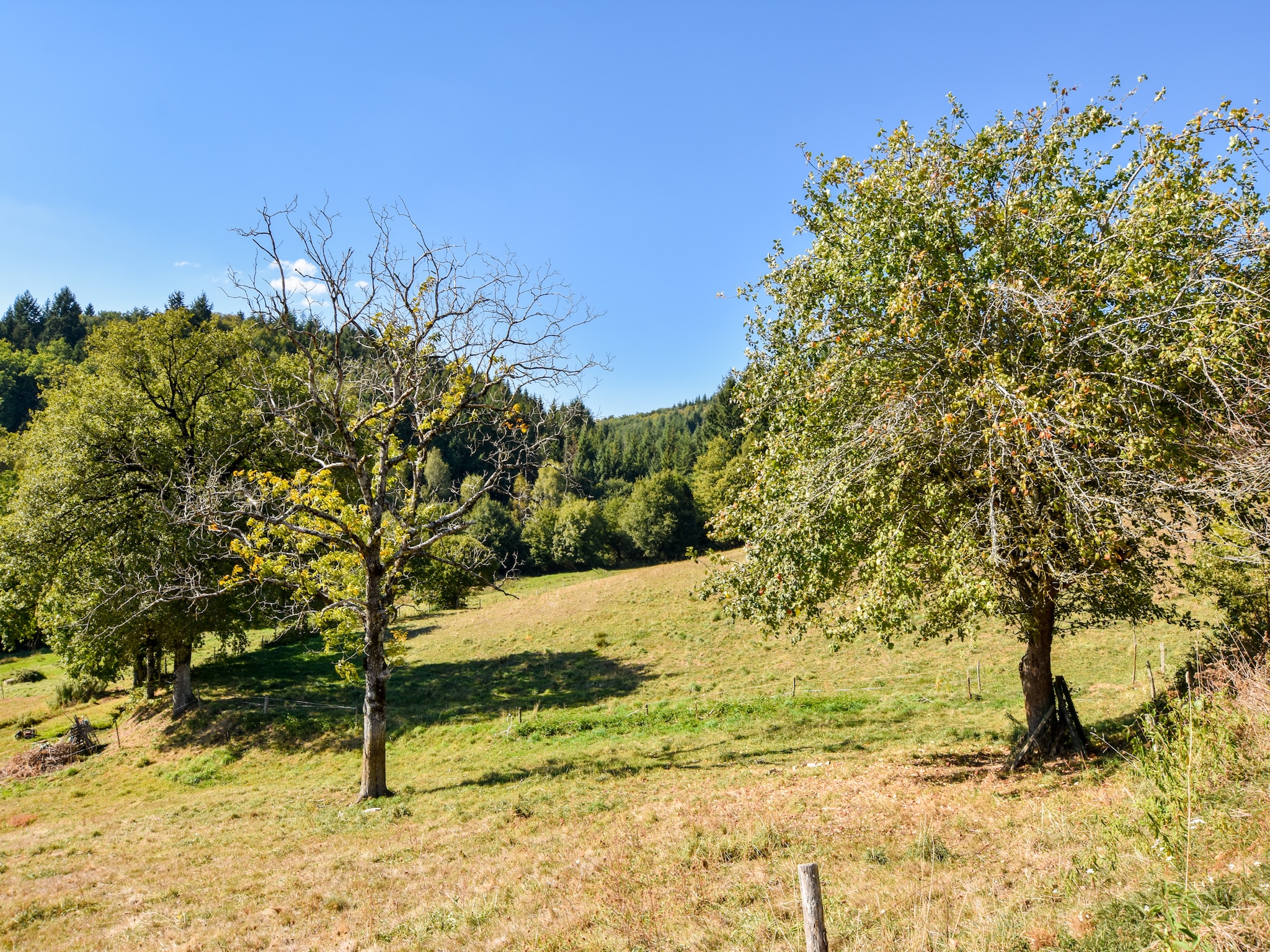   Authentique maison auvergnate