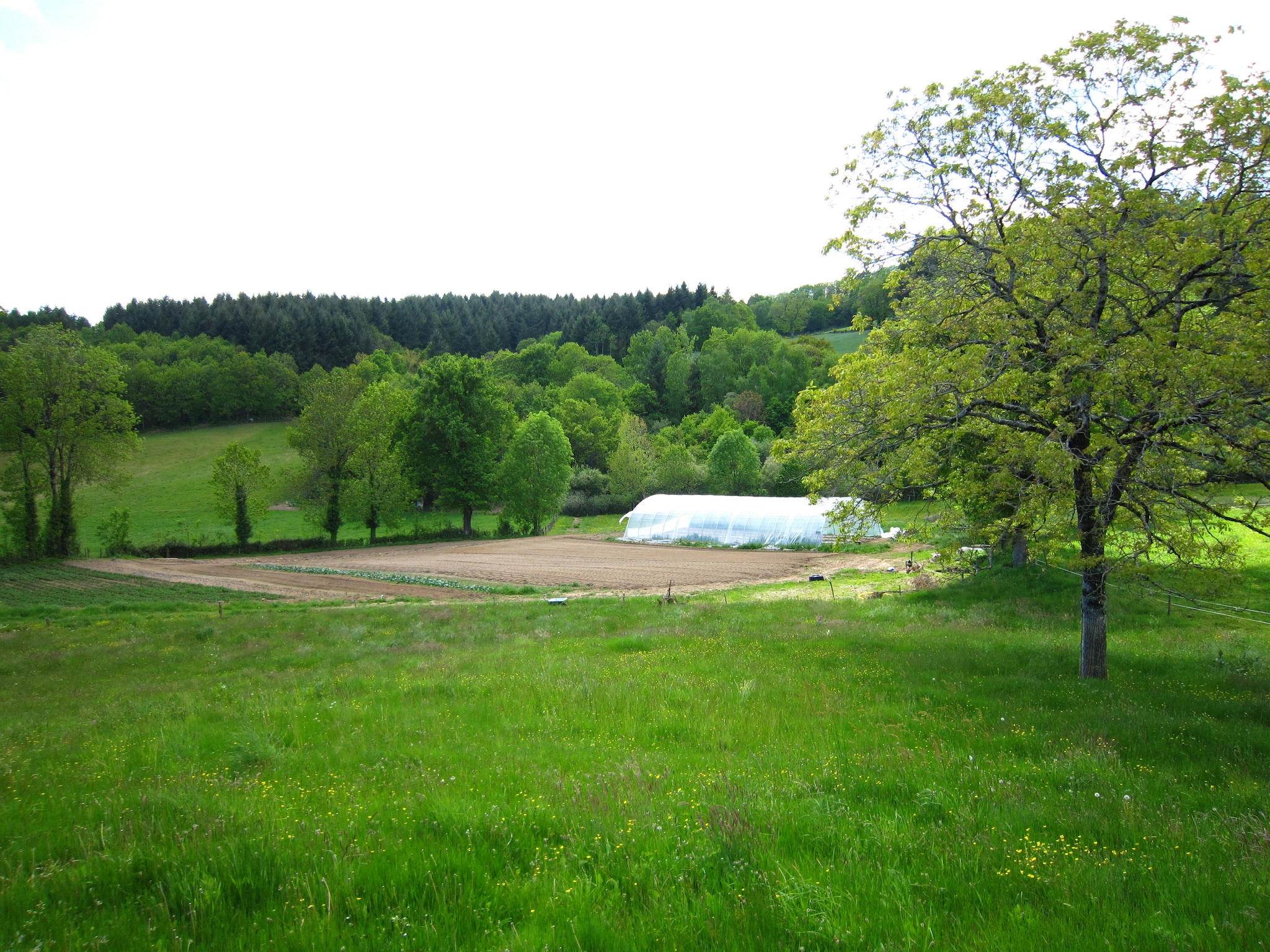   La Charmante