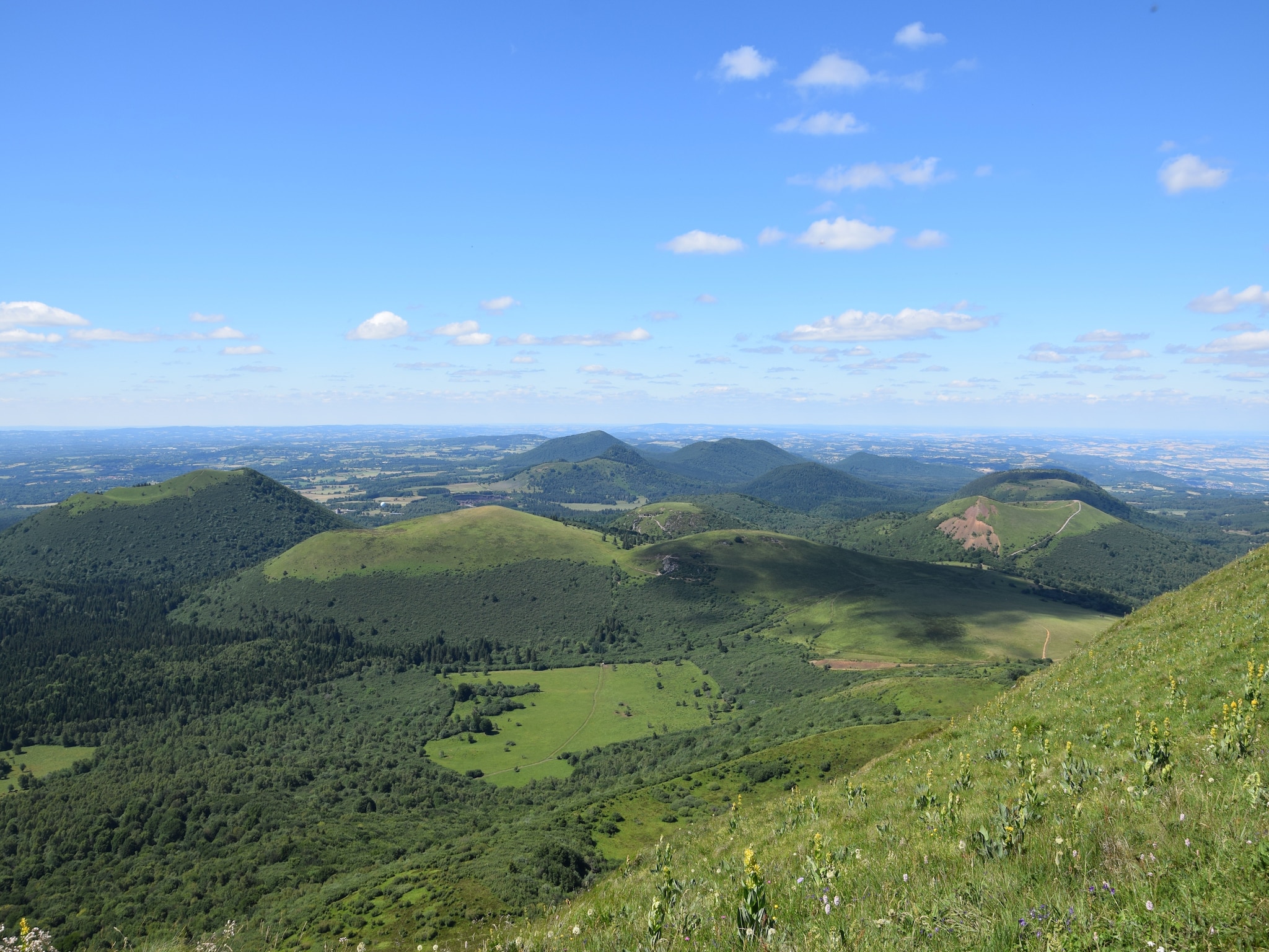   La Charmante