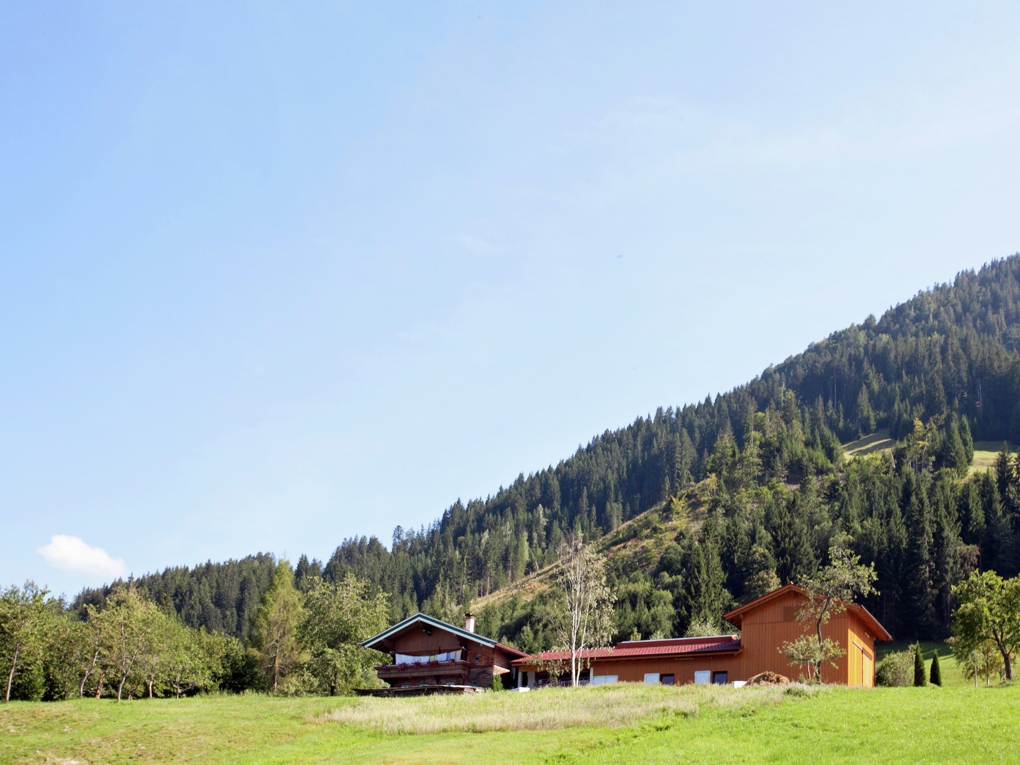 Ferienwohnung Schönes Appartement in Skigebietsnähe in