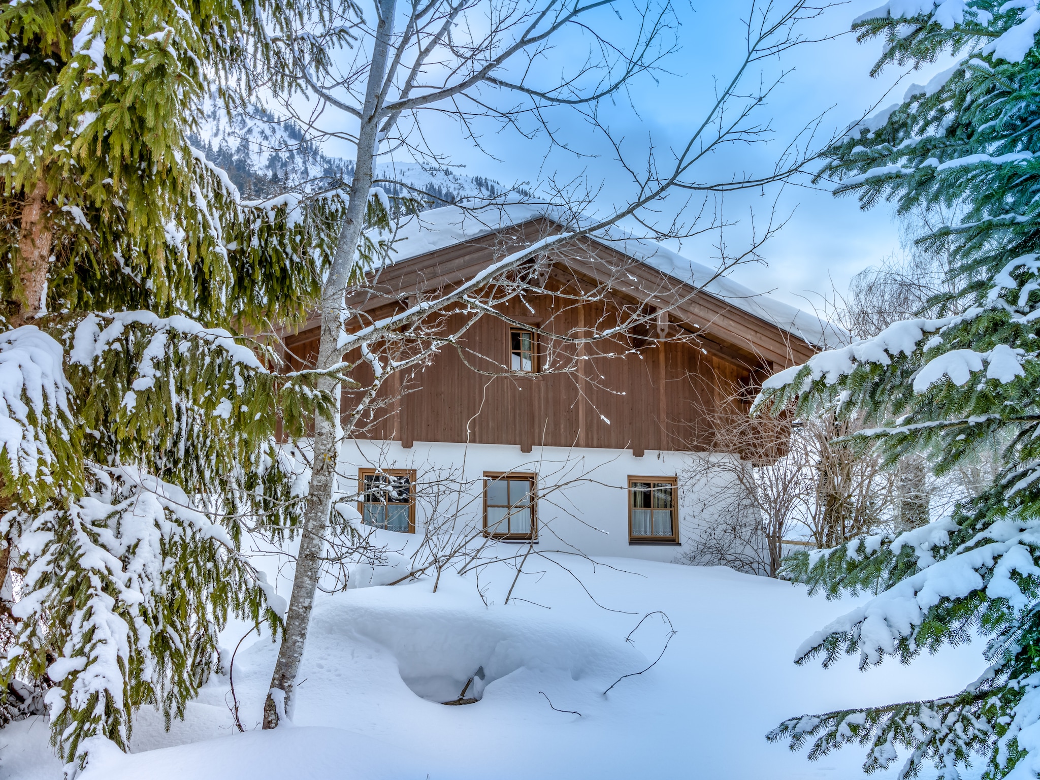Ferienwohnung Schönes Appartement in Skigebietsnähe in