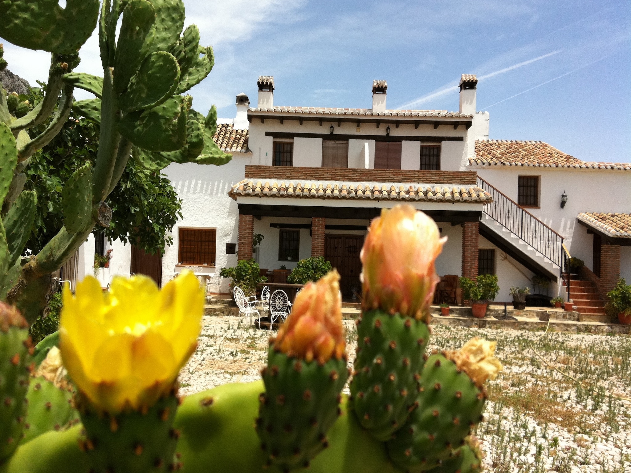 Holiday home Cortijo las Monjas