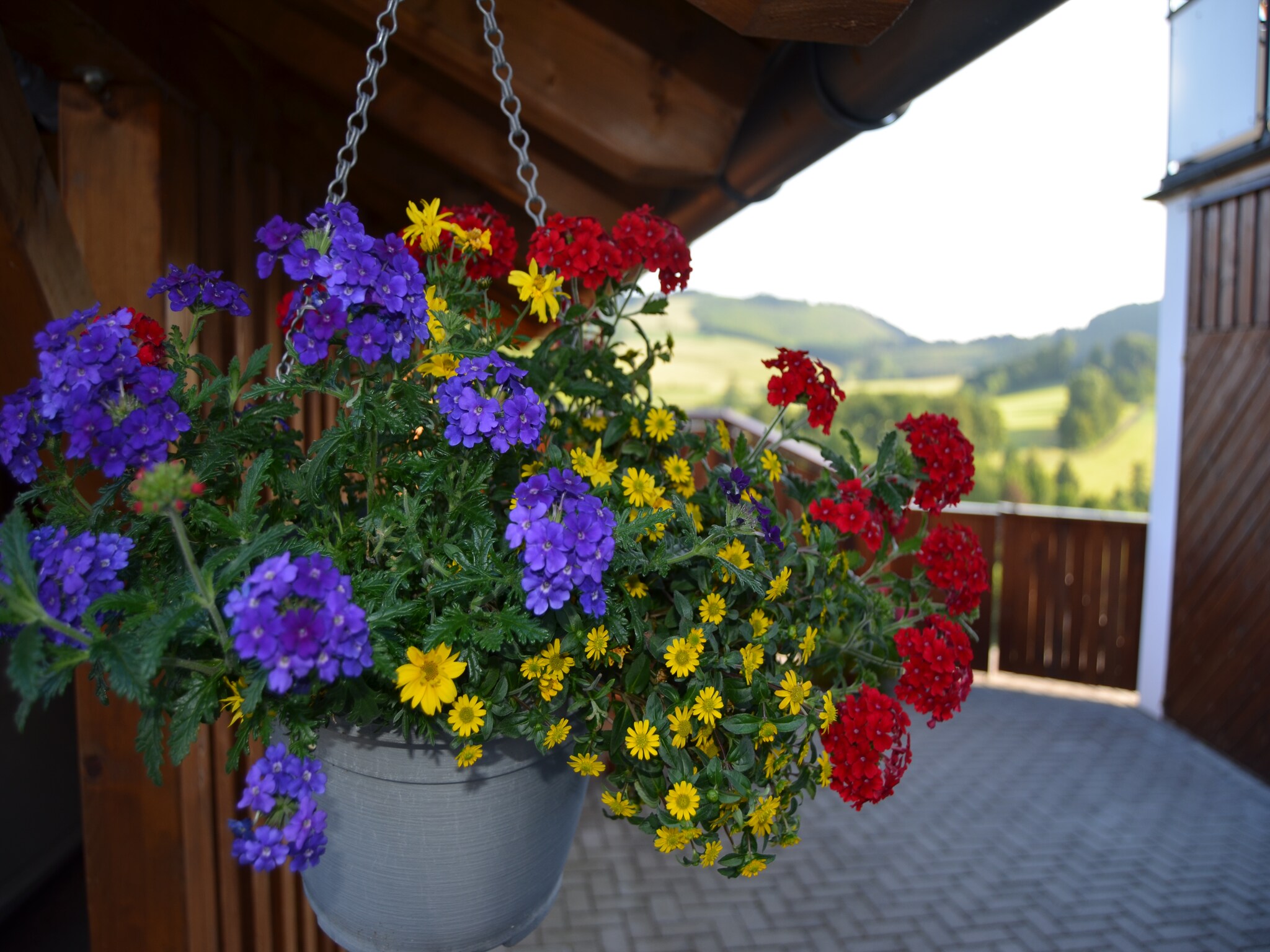 Ferienwohnung Freiblick