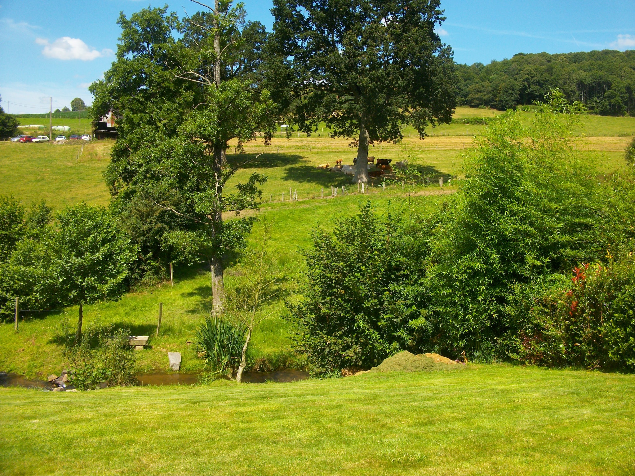 Maison Gite 6 pers proche Mont St Michel