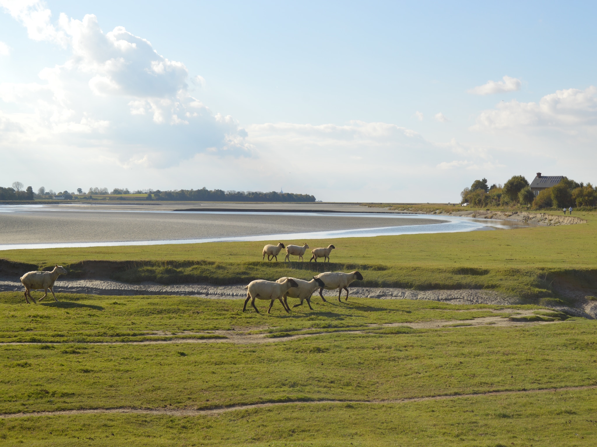Maison Gite 6 pers proche Mont St Michel