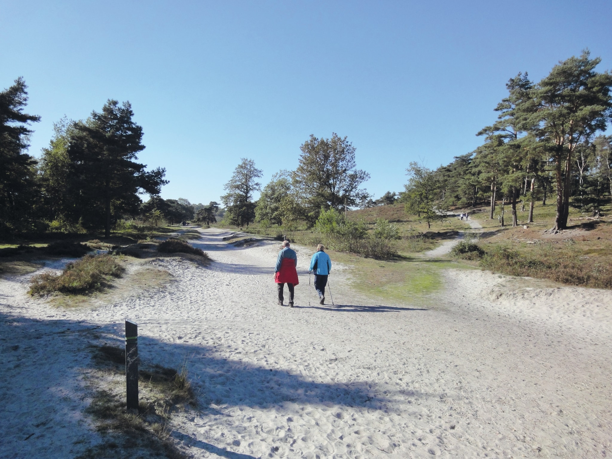   Resort Brunssummerheide 14