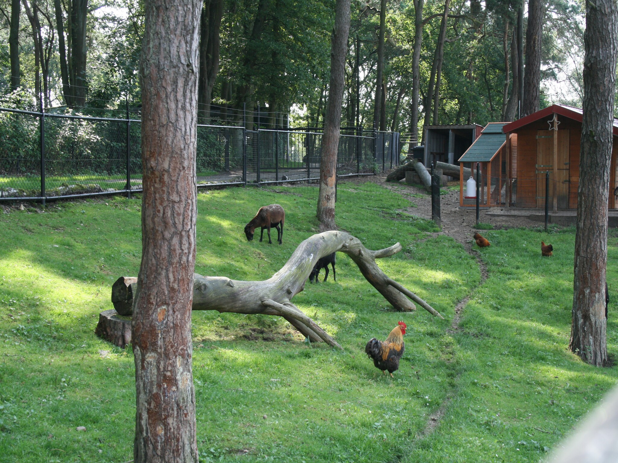   Resort Brunssummerheide 14
