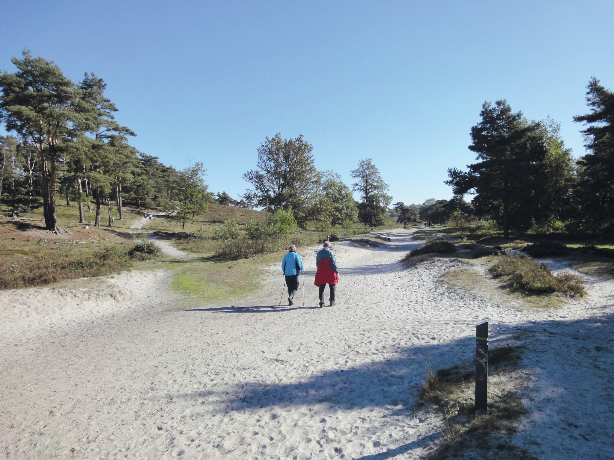   Resort Brunssummerheide 14