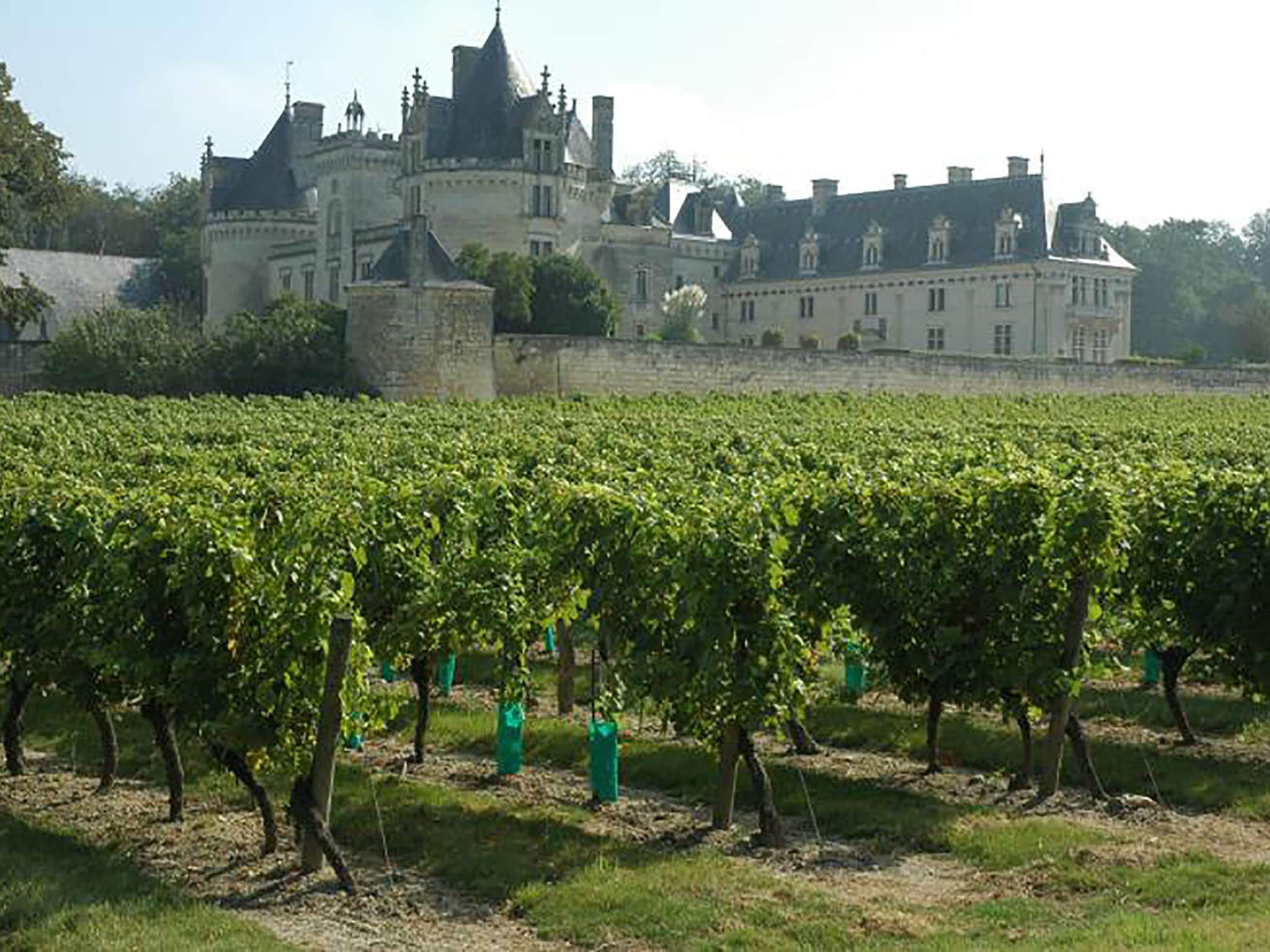   Gîte près des châteaux de la Loire