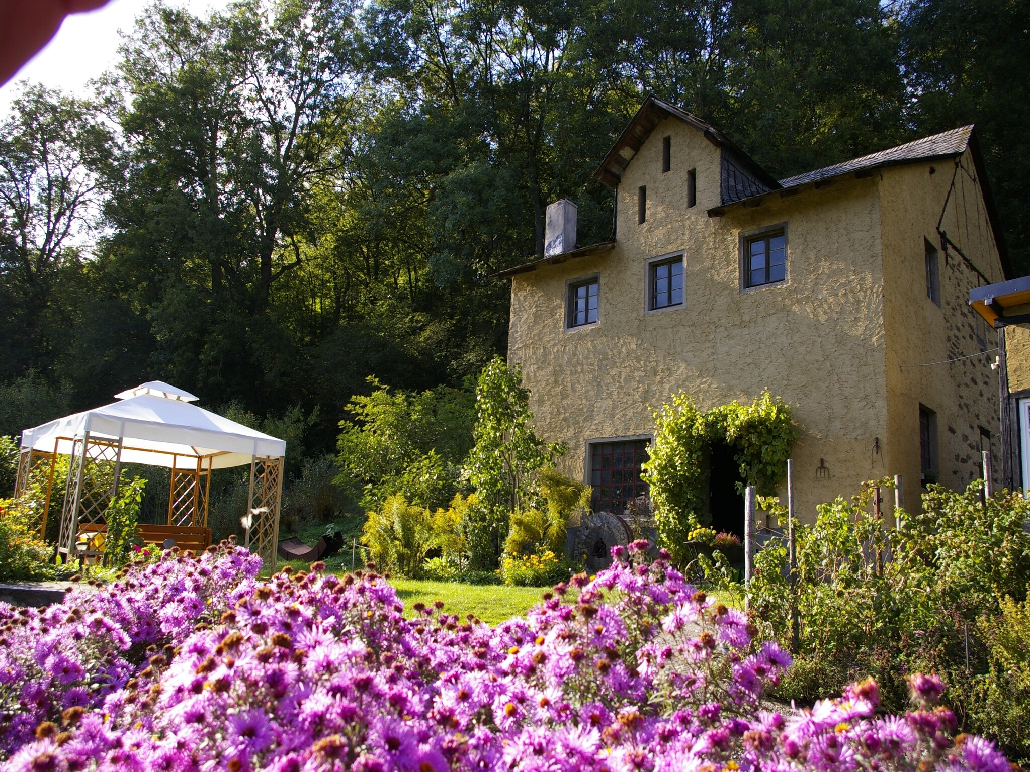 Ferienwohnung Kaifenheimer Mühle 2