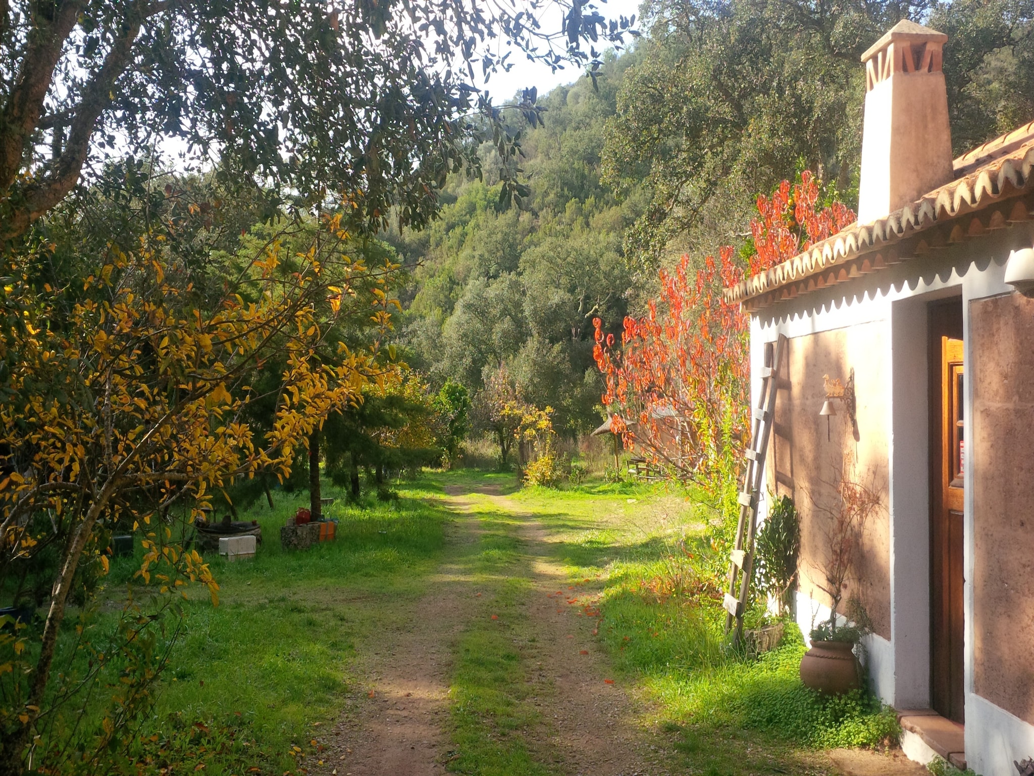 Maison Casa da Adega