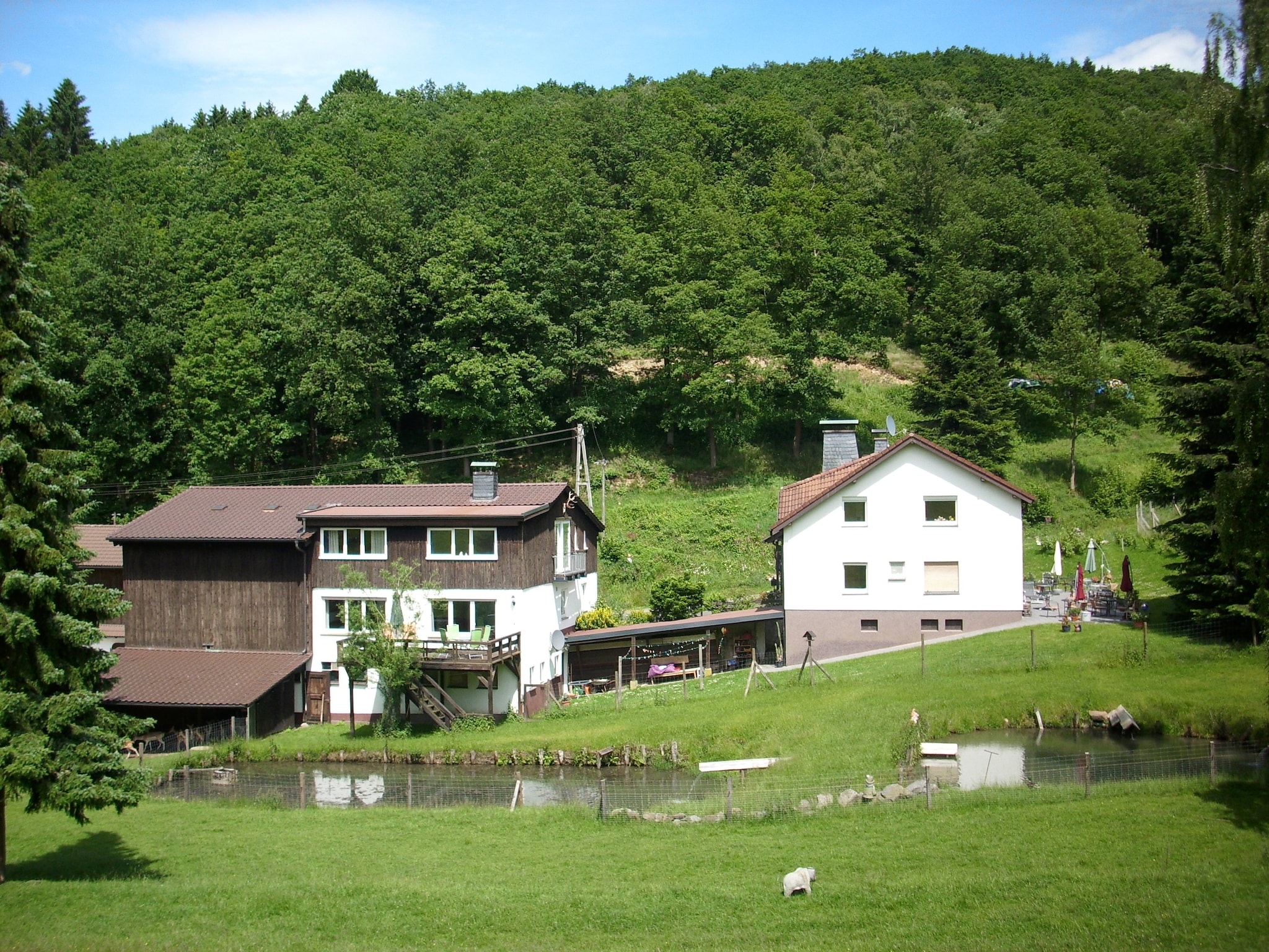 Apartment Am Damwildgehege