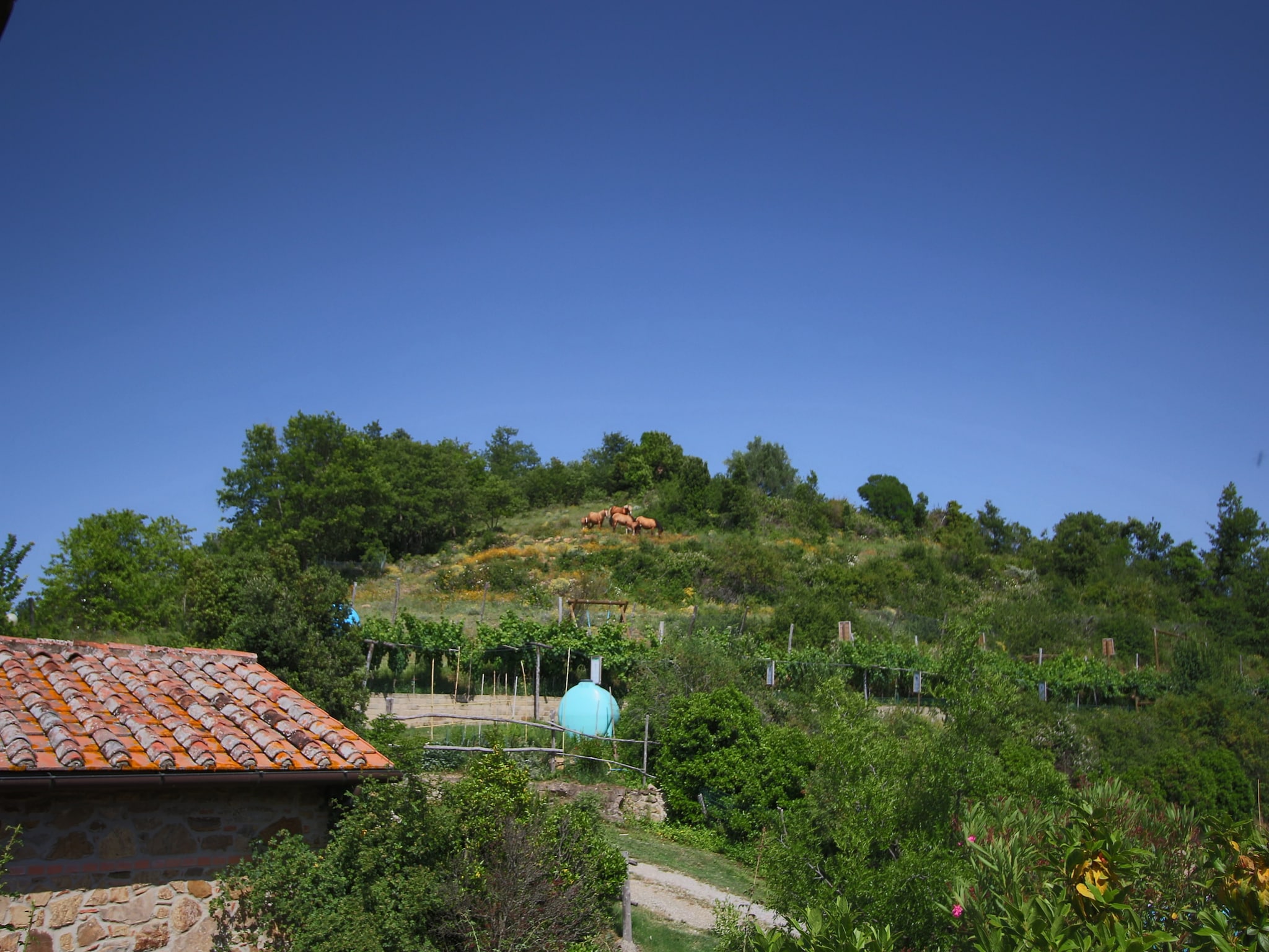 度假住宅 Club House