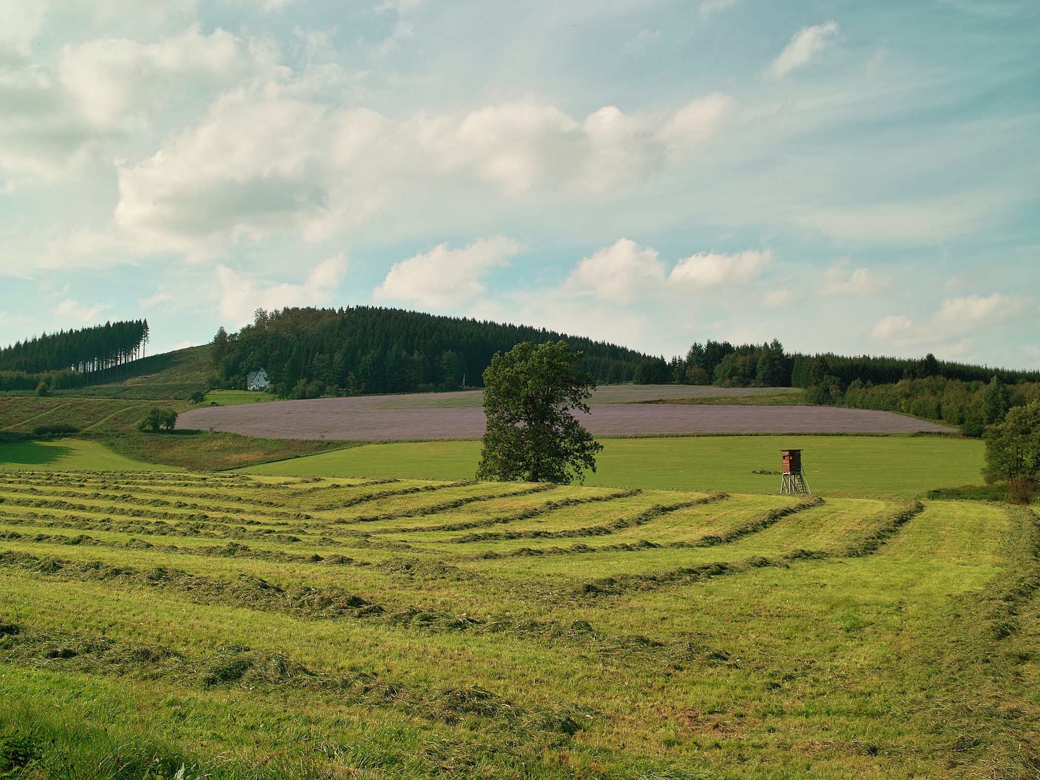 Ferienwohnung Hardebusch