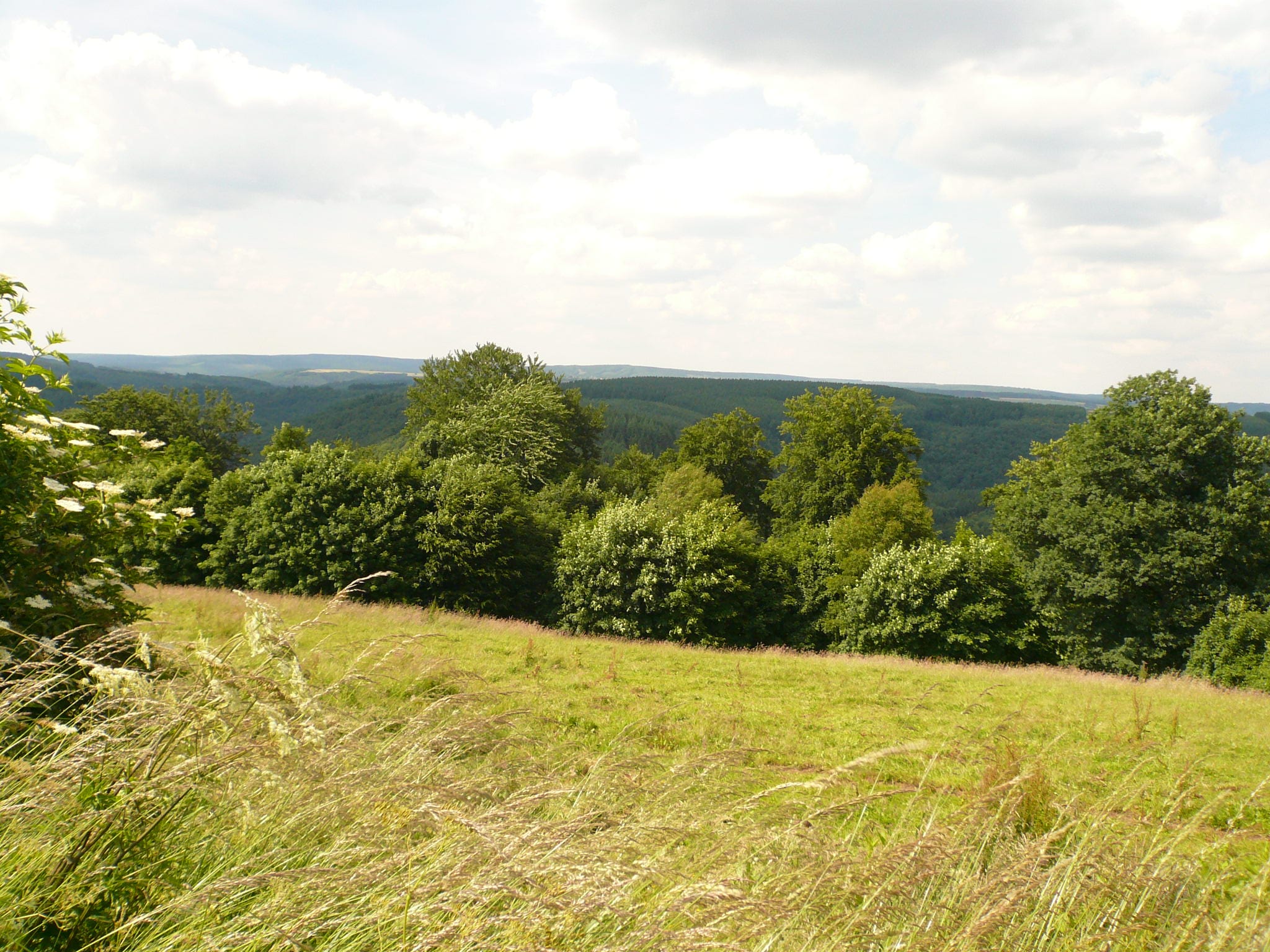   Le Domaine des Arts