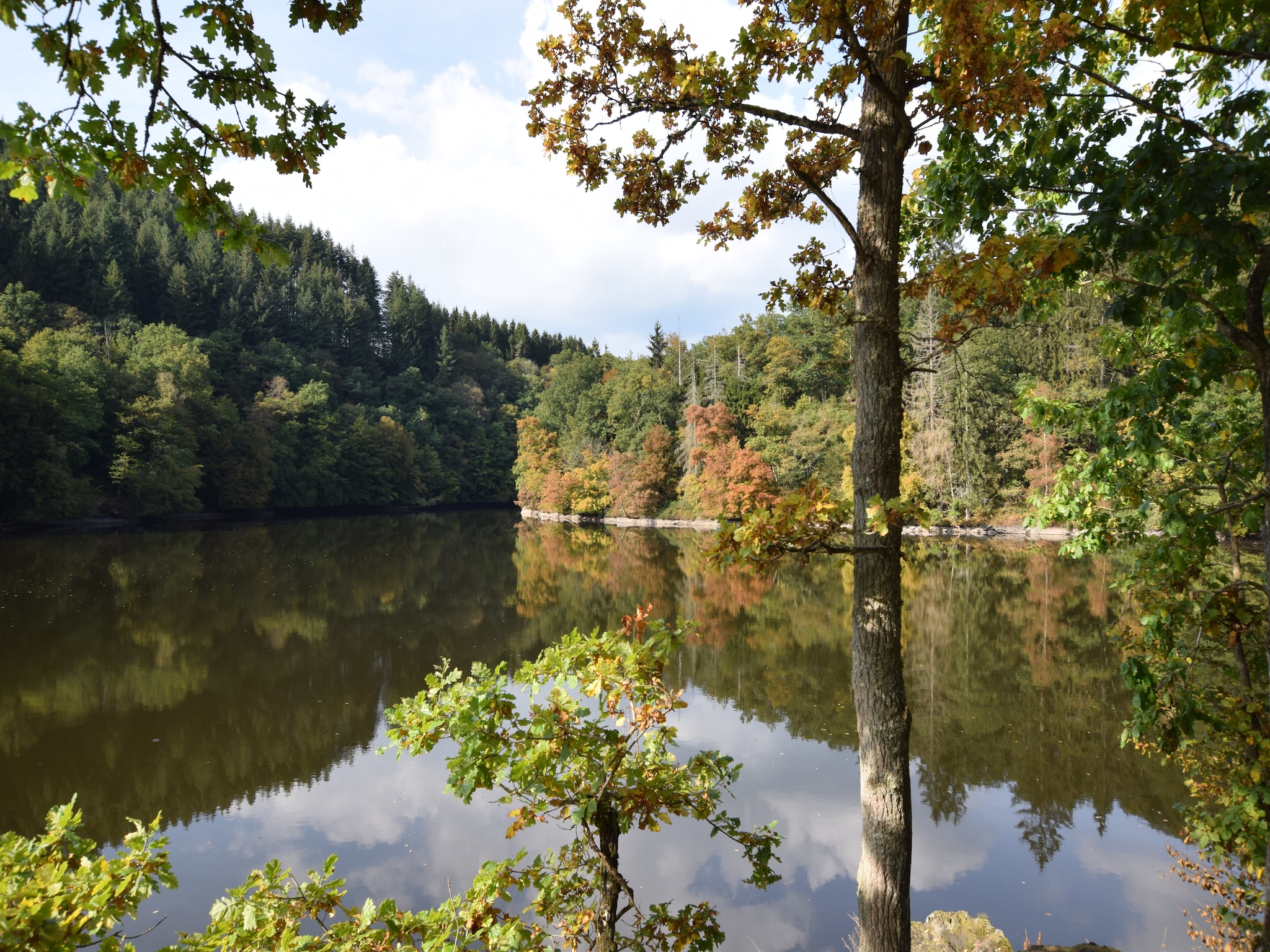   Le Domaine des Arts