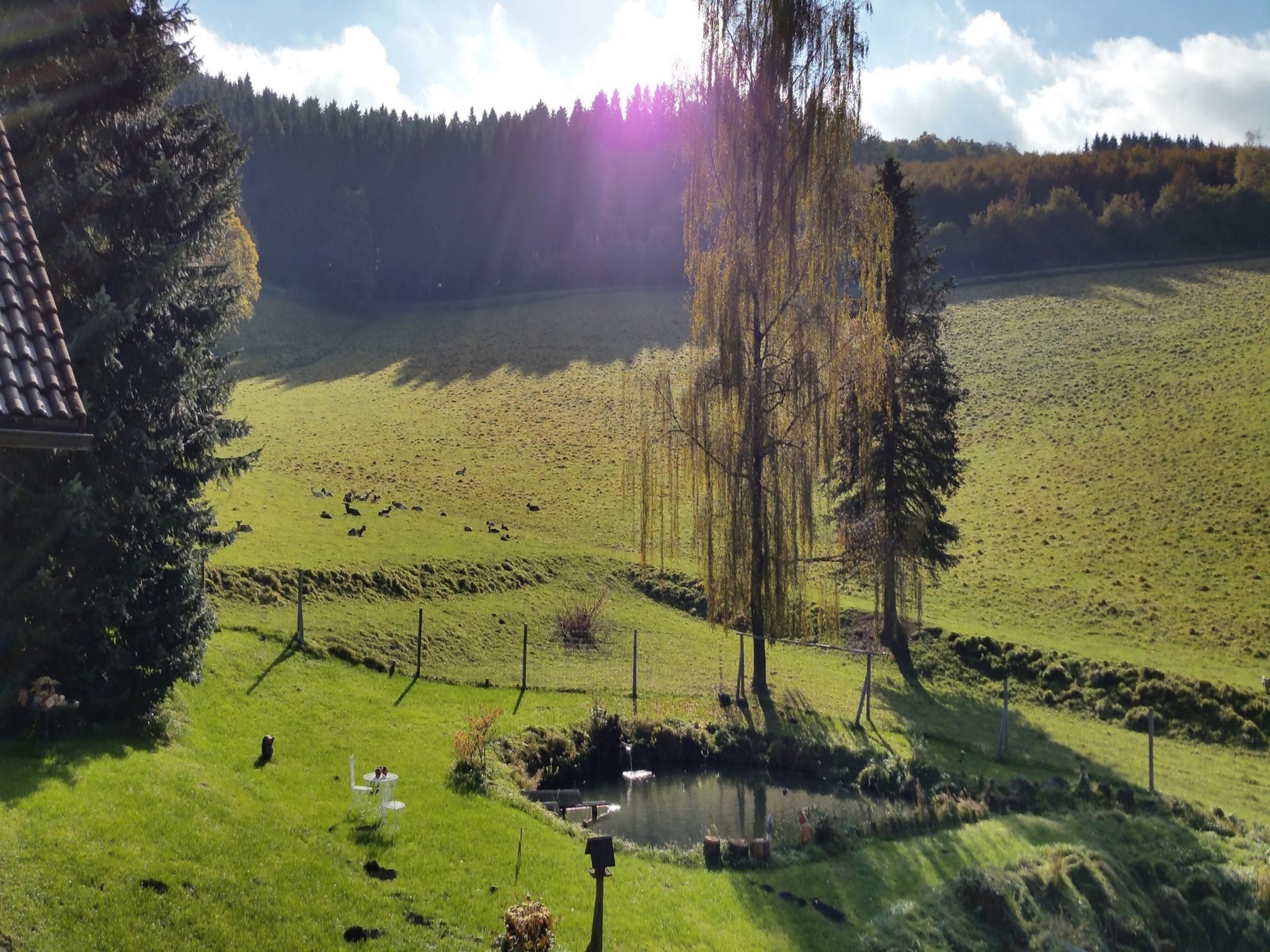 Appartement Am Damwildgehege
