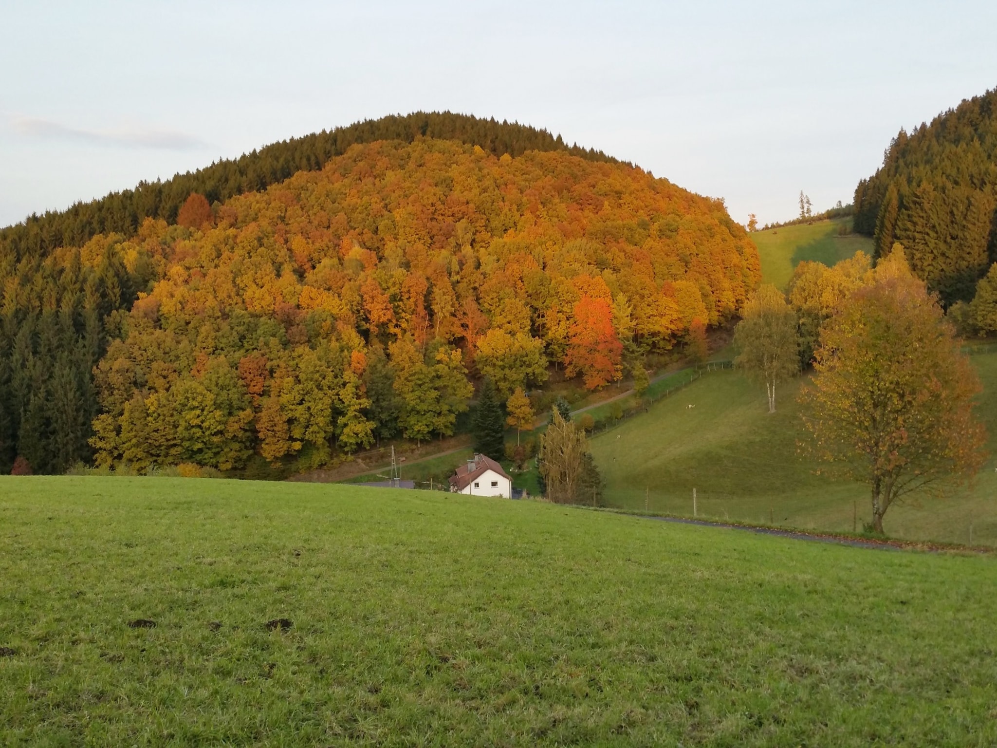 Appartement Am Damwildgehege