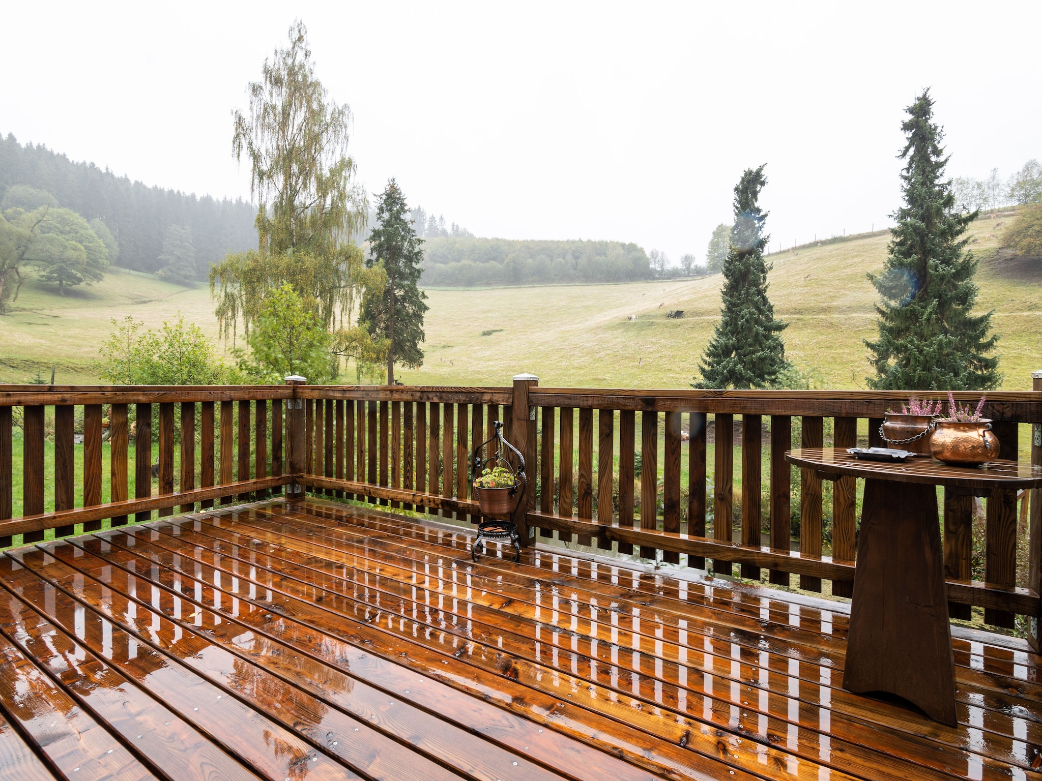 Appartement Am Damwildgehege