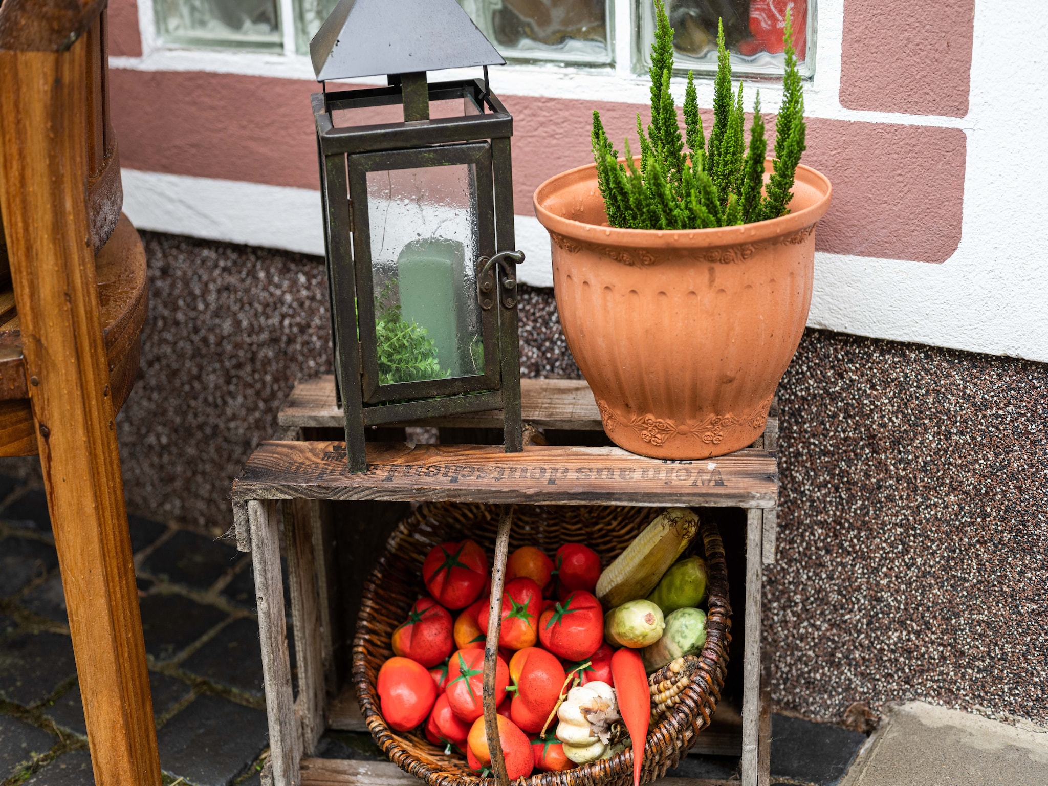 Appartement Am Damwildgehege