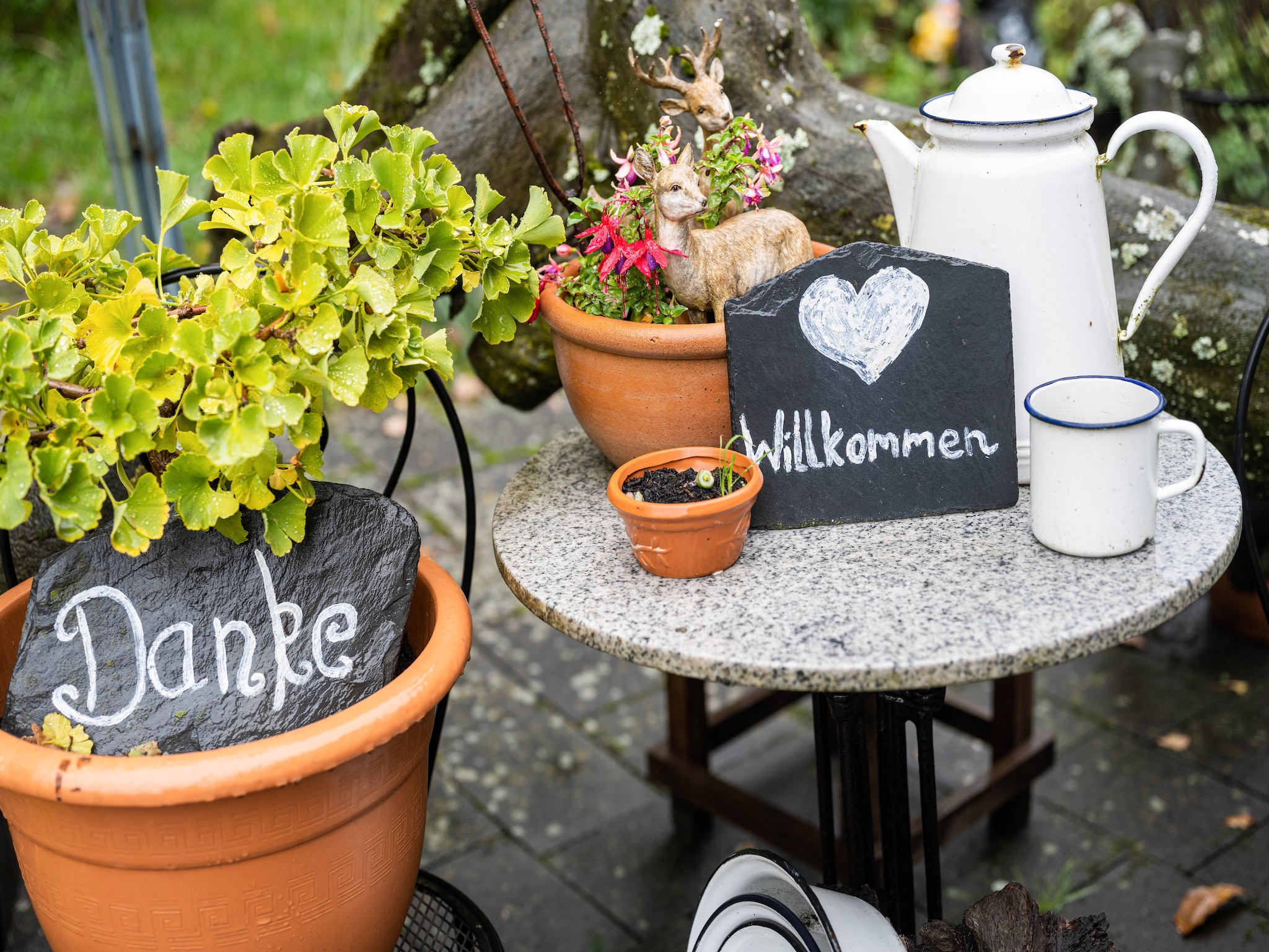 Appartement Am Damwildgehege