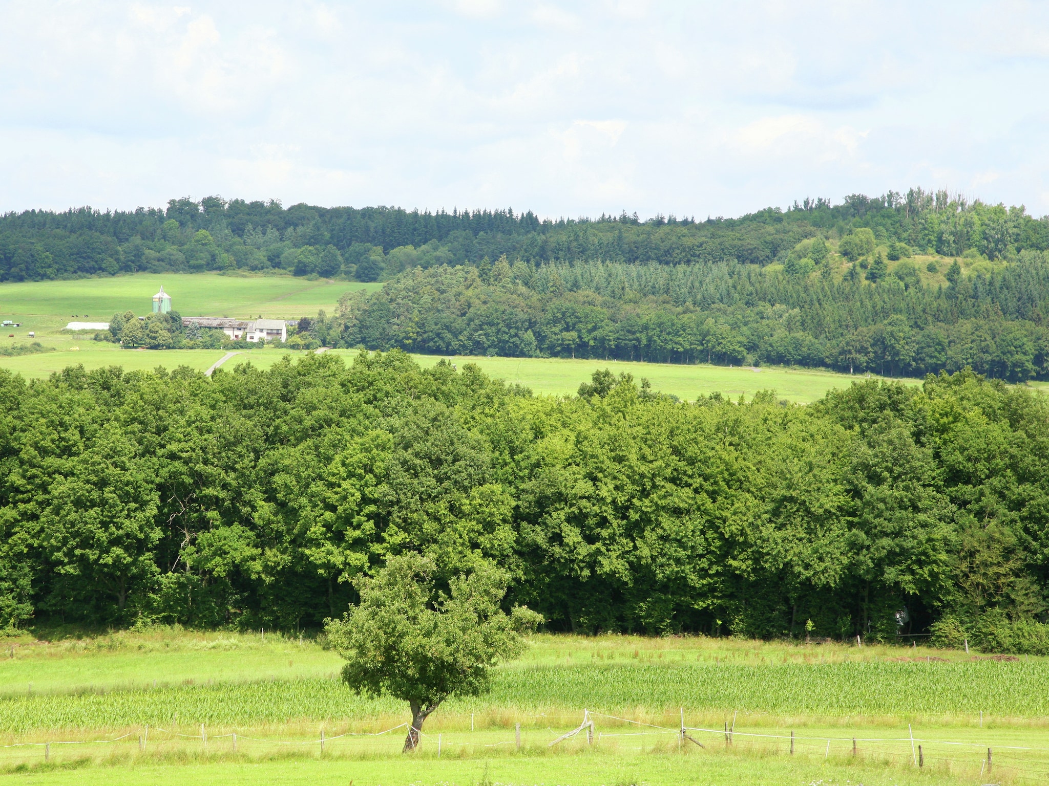   Ferienhaus zum Wäldchen