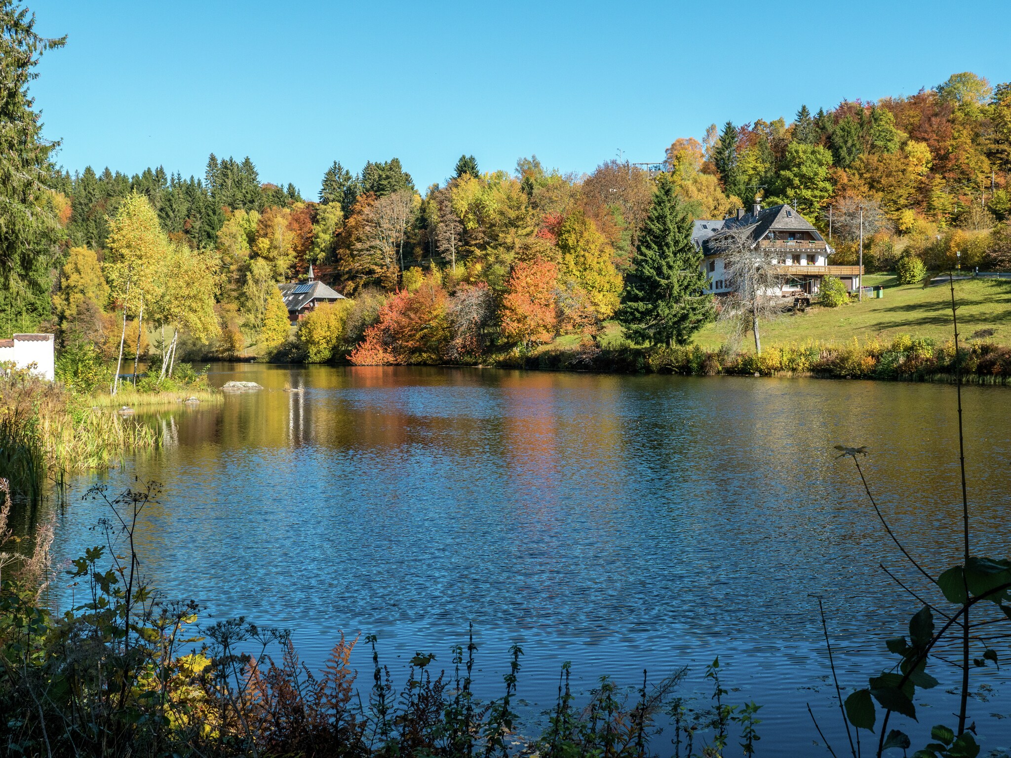 Ferienwohnung Altes Forsthaus