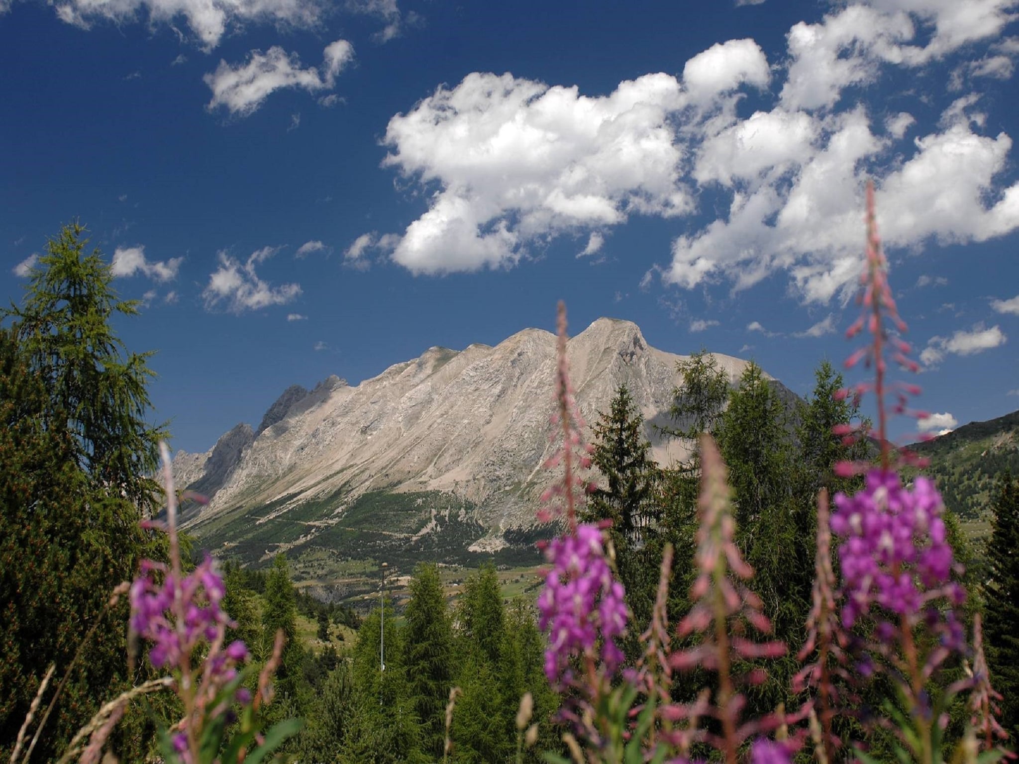 Ferienwohnung L'Orée des Pistes 4