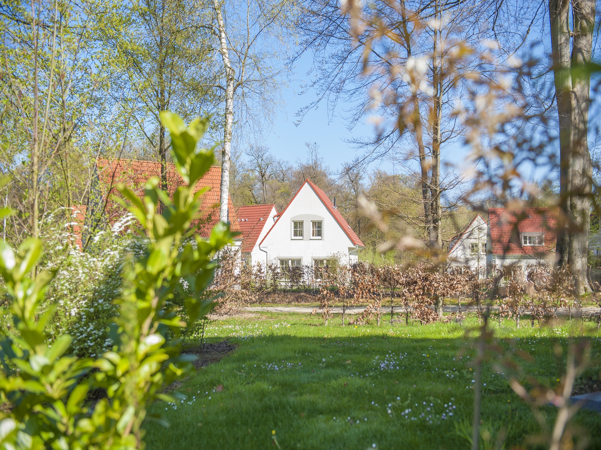 Feriebolig Ferienresort Bad Bentheim 9