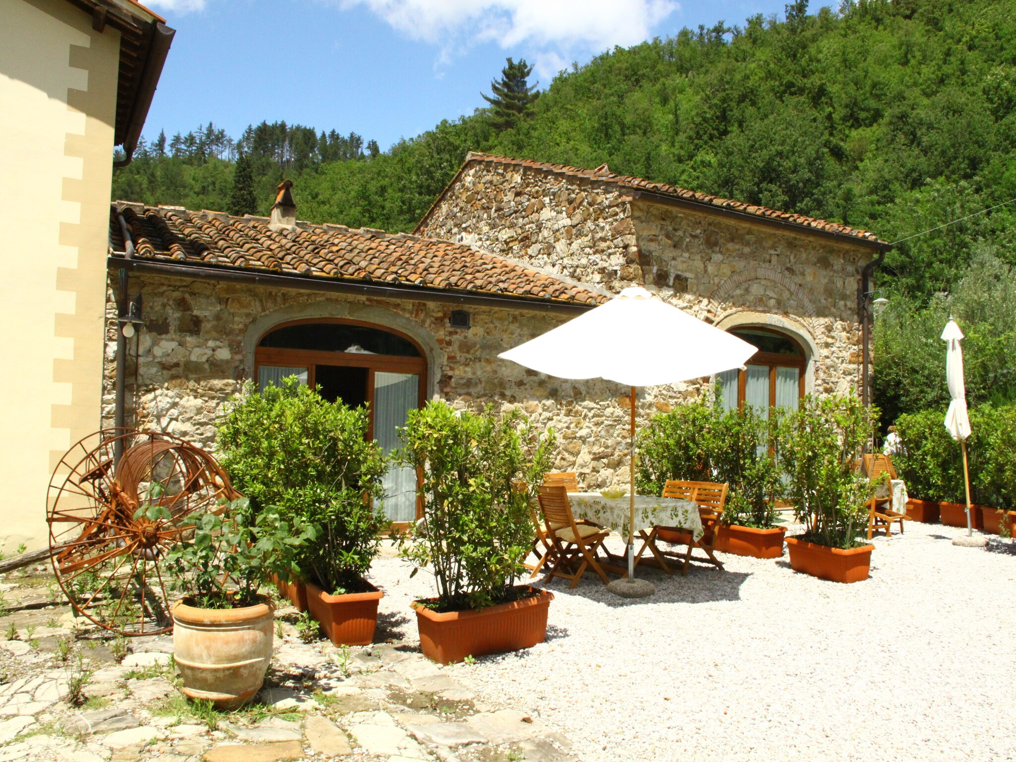   Le Olive