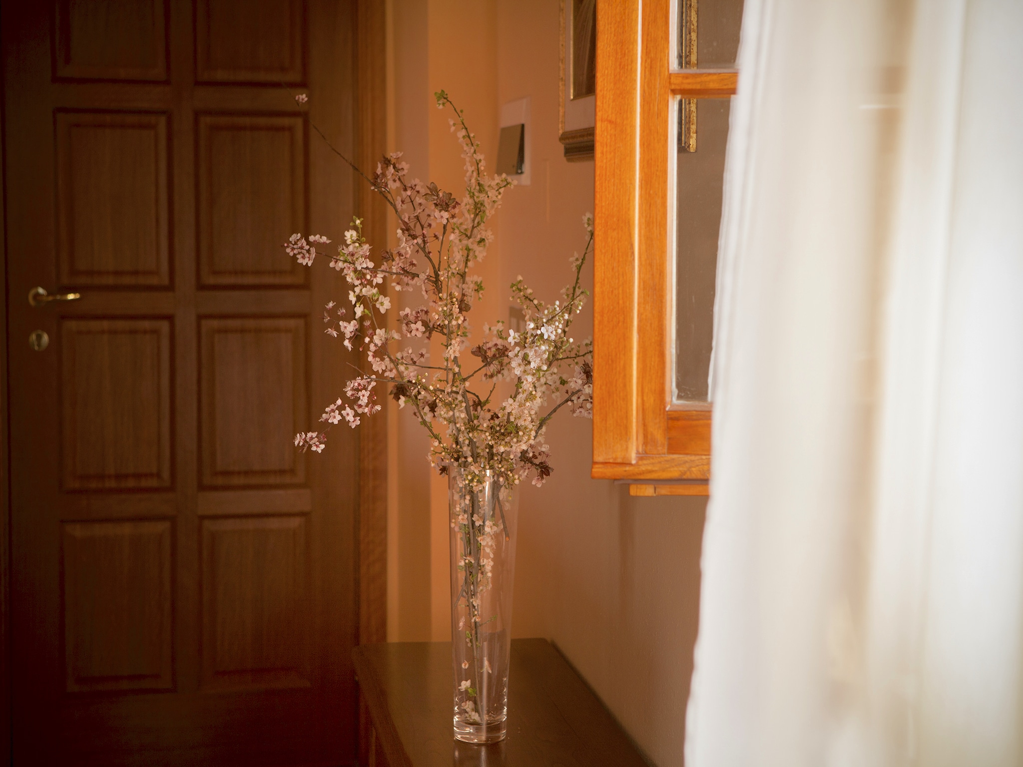 Ferienhaus Cipresso