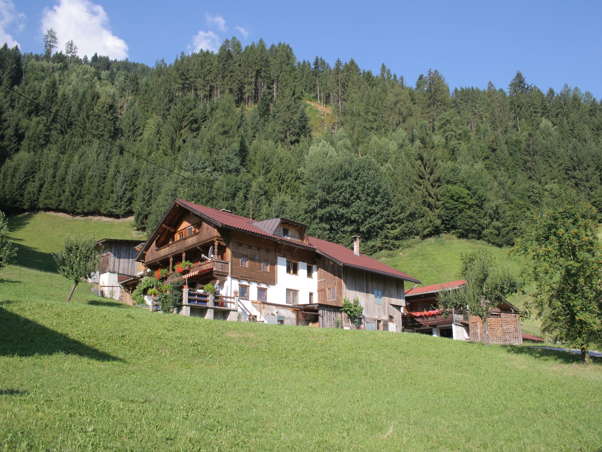 Appartement Reisrachhof - App 1