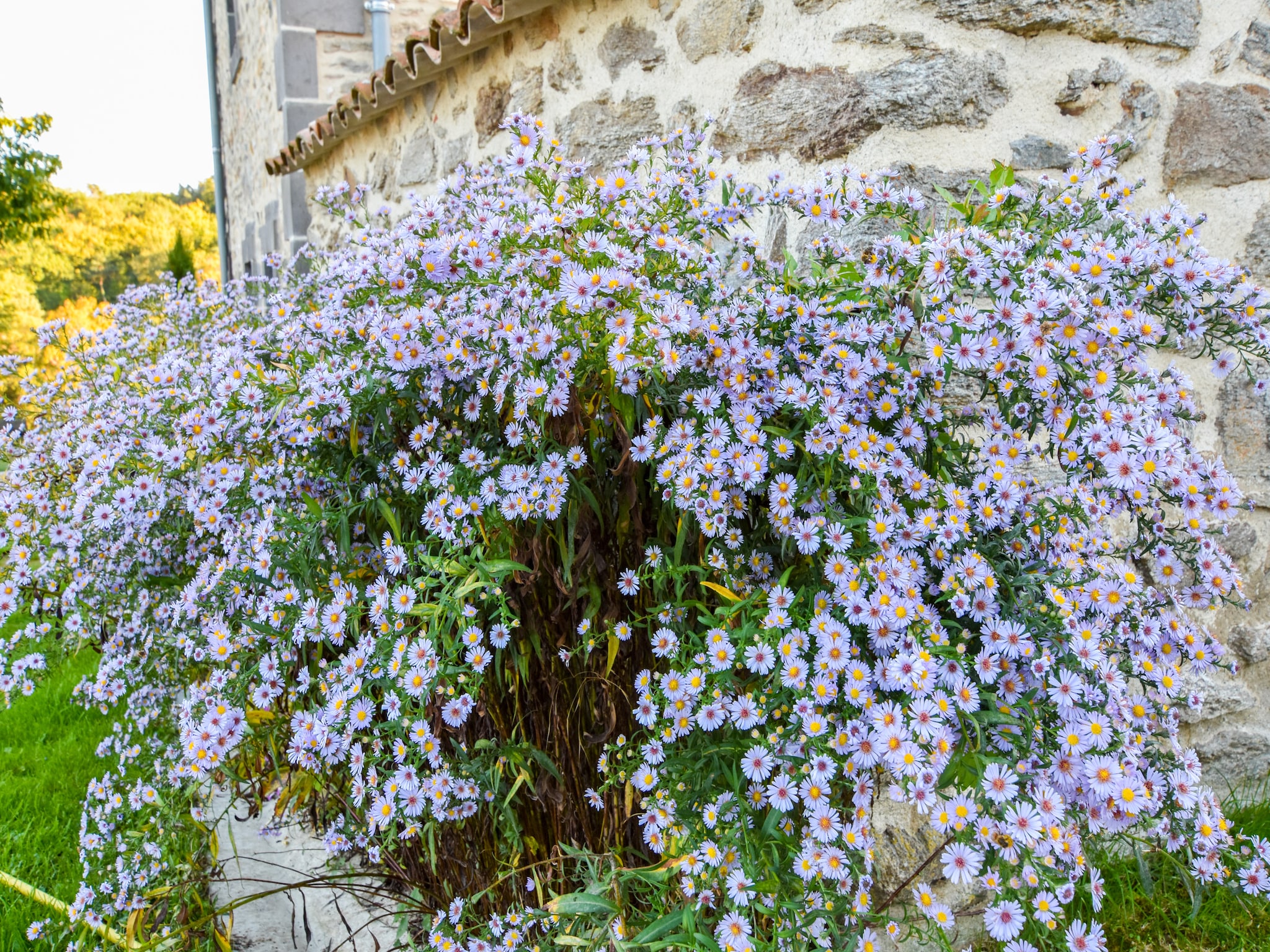   Maison à la campagne