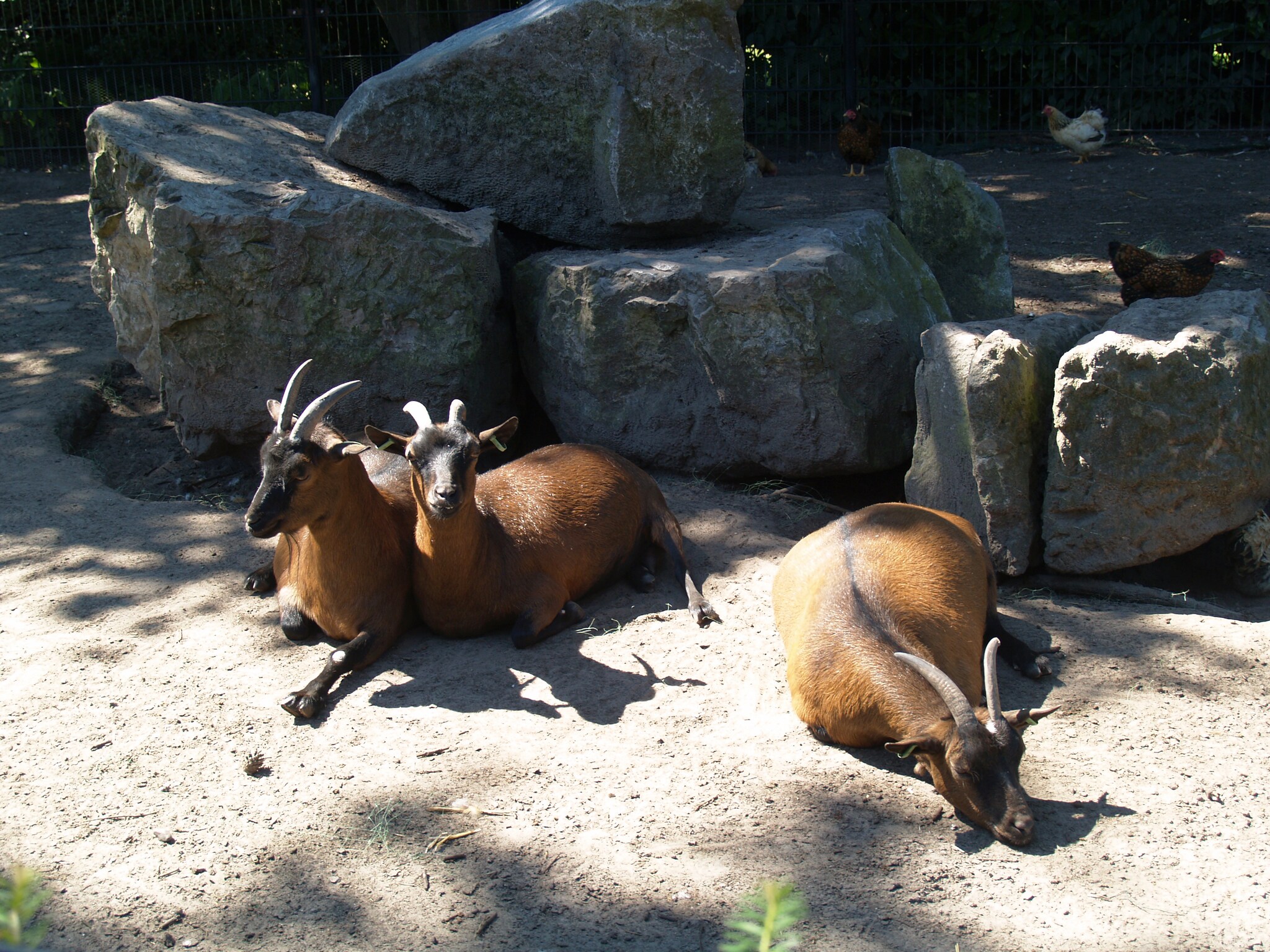   Resort De Achterhoek 13