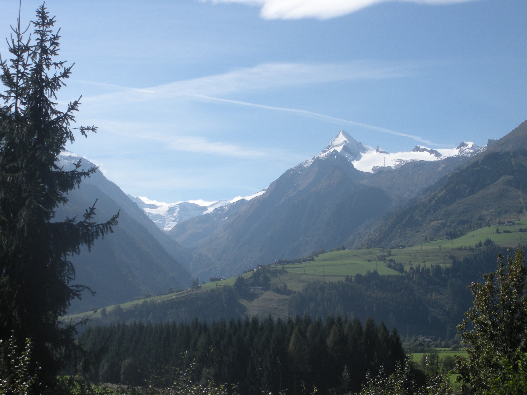   Bernsteiner