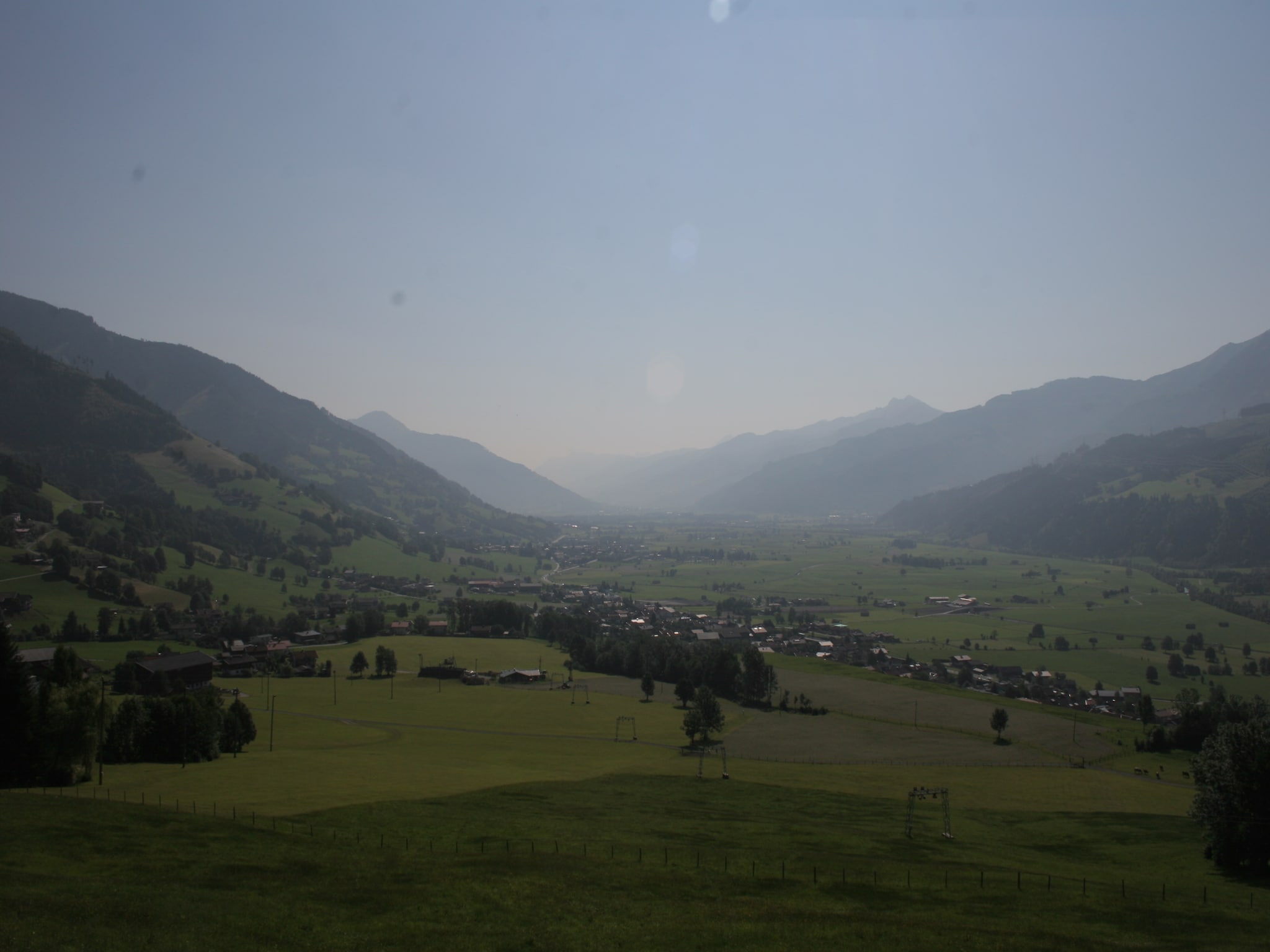   Bernsteiner
