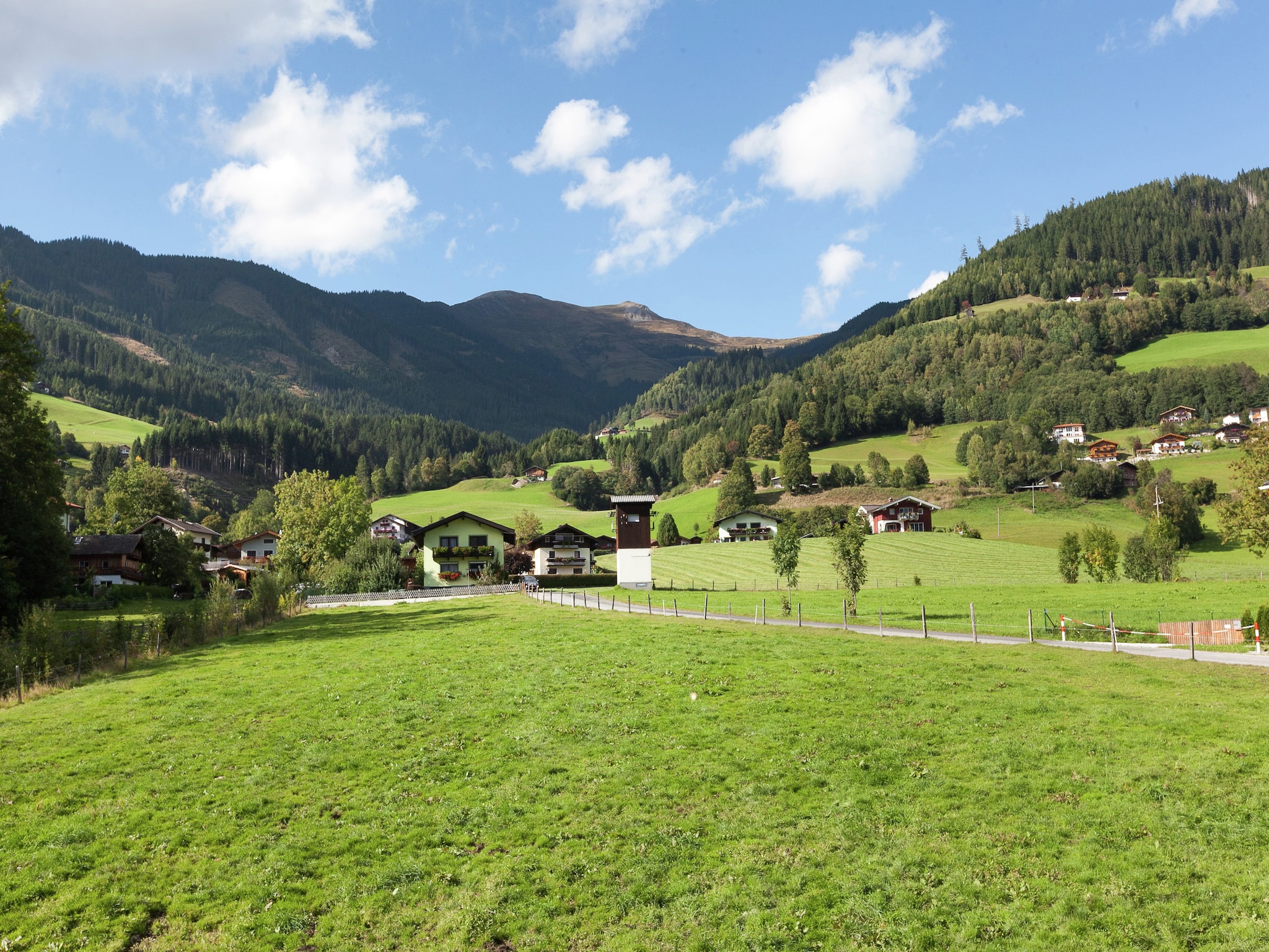   Bernsteiner