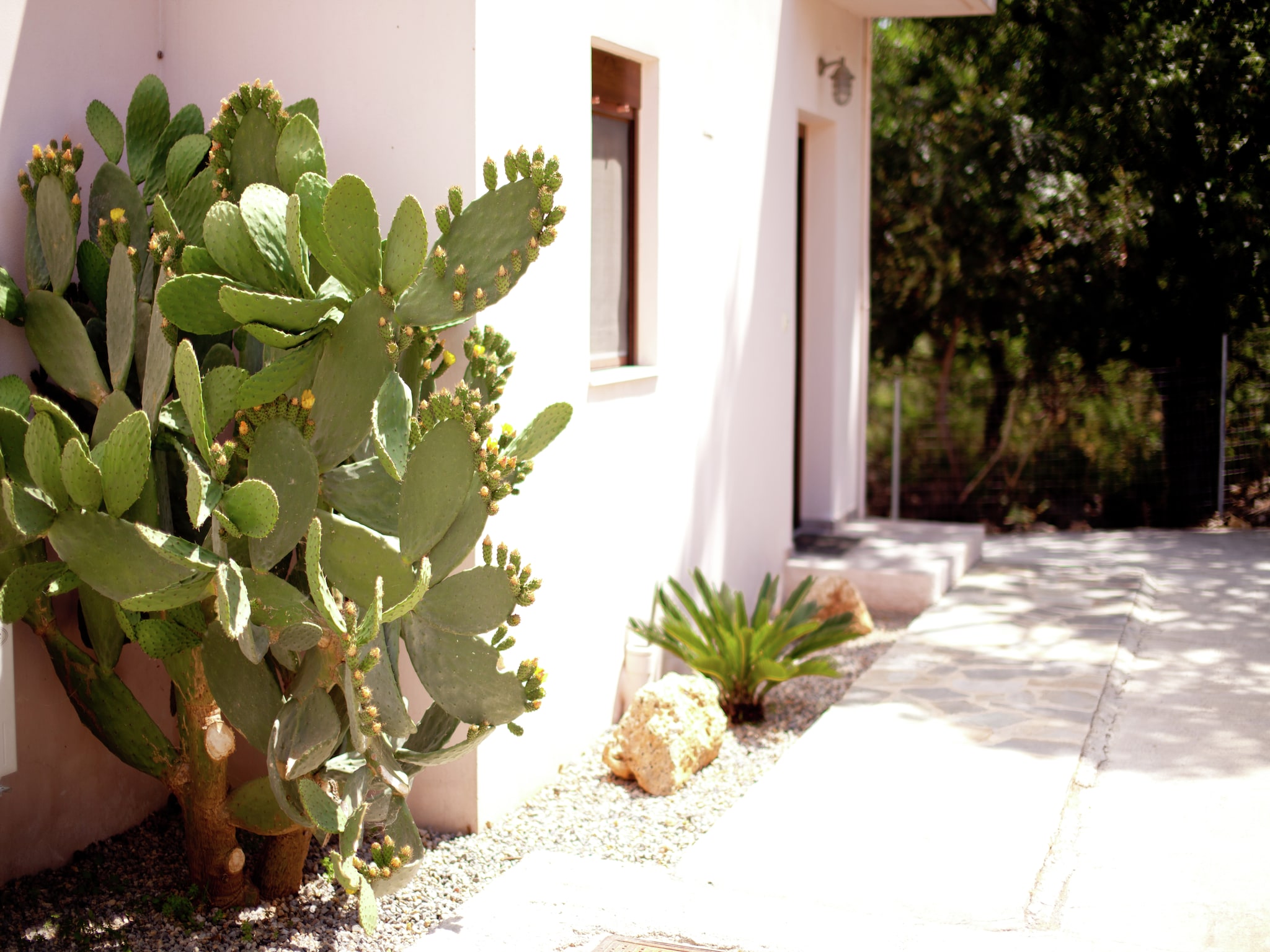 Casa di vacanze Villa Eleonora