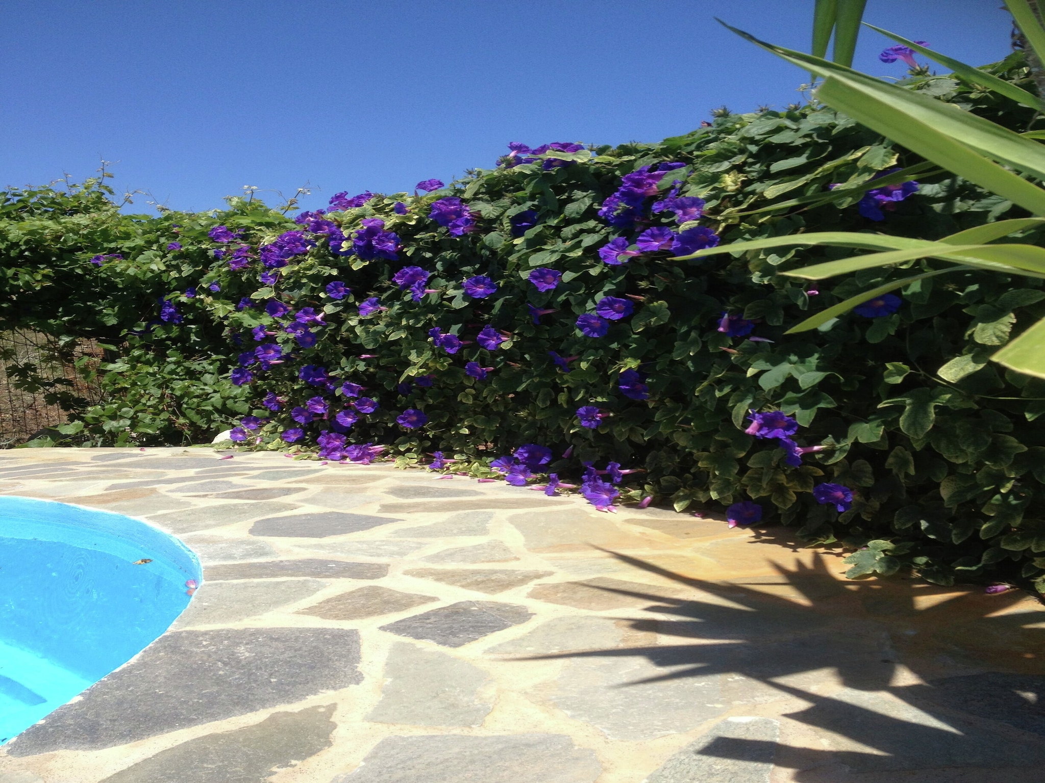 Casa di vacanze Villa Eleonora