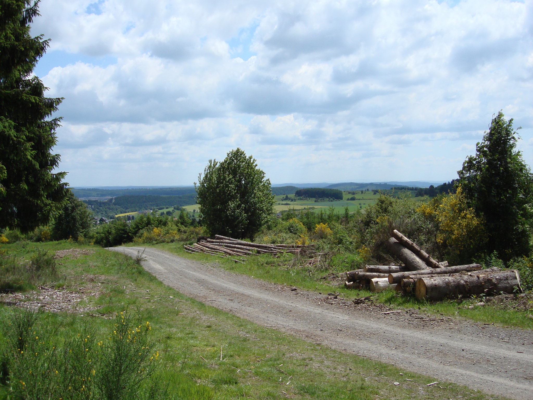   Köster
